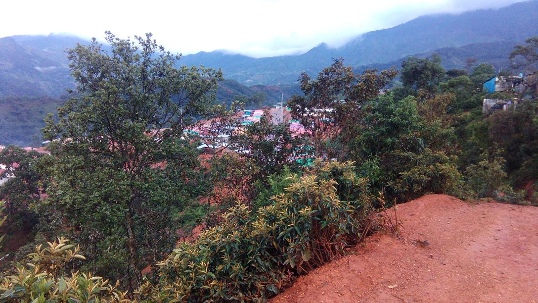 El Amate image 8