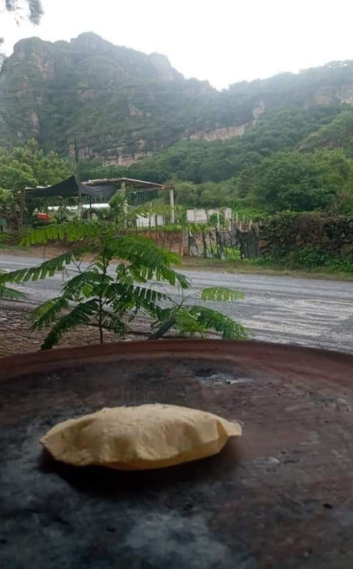 Cielo Rojo comida mexicana image 3