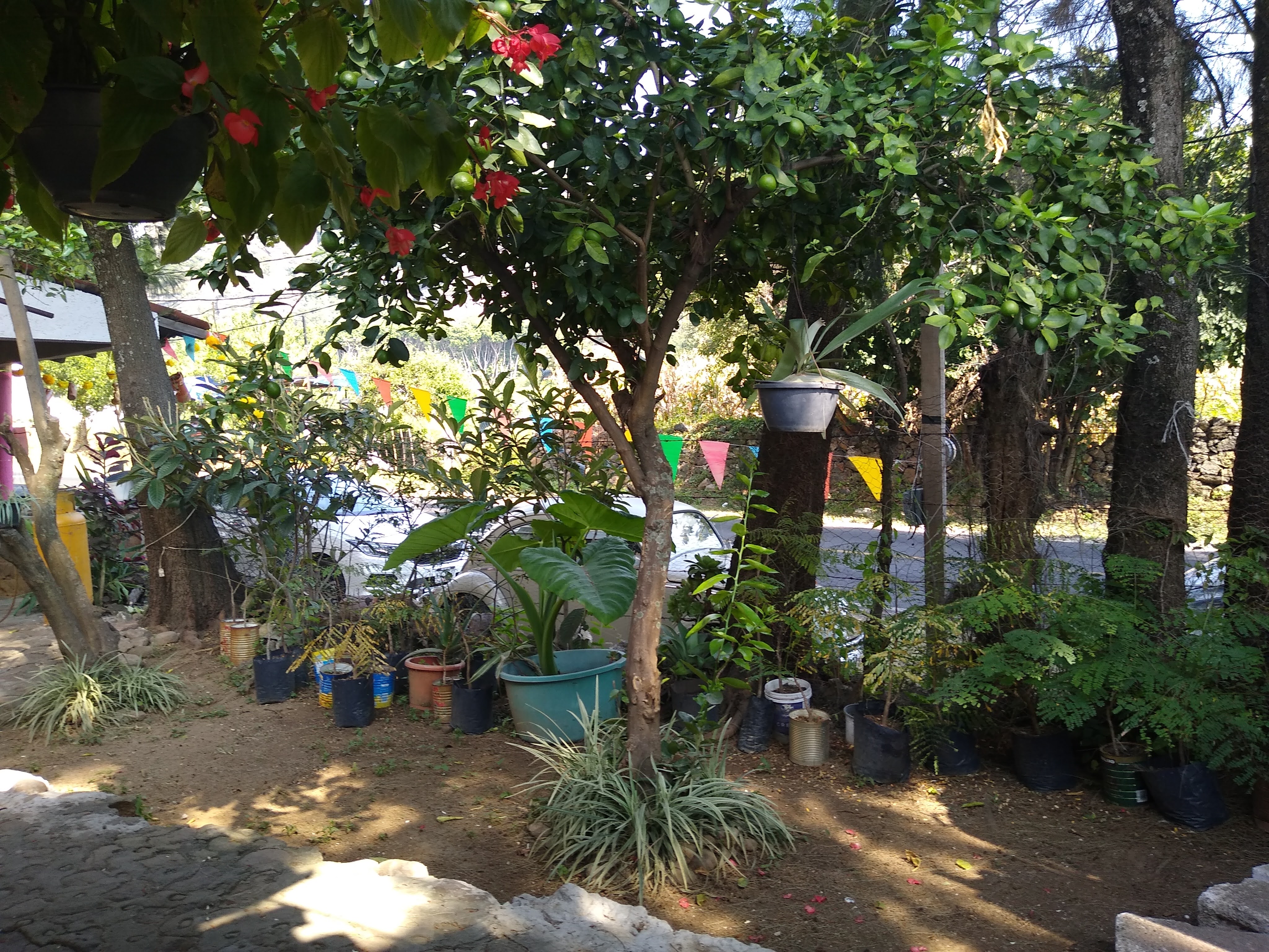 Cielo Rojo comida mexicana image 7