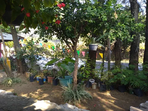 Cielo Rojo comida mexicana image 7