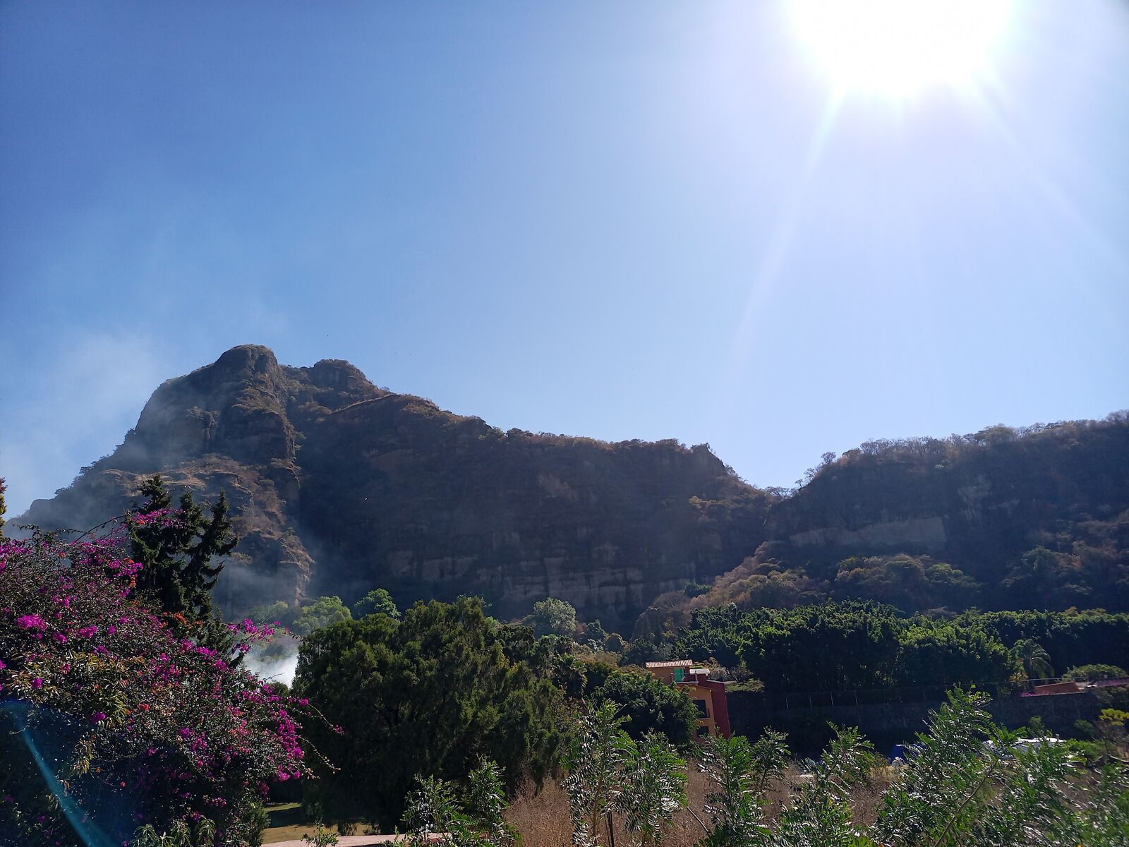 Barbacoa Don Arturo image 3