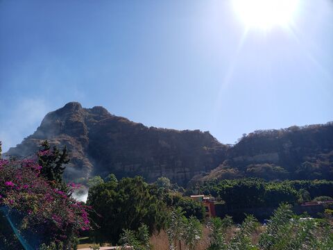 Barbacoa Don Arturo image 3
