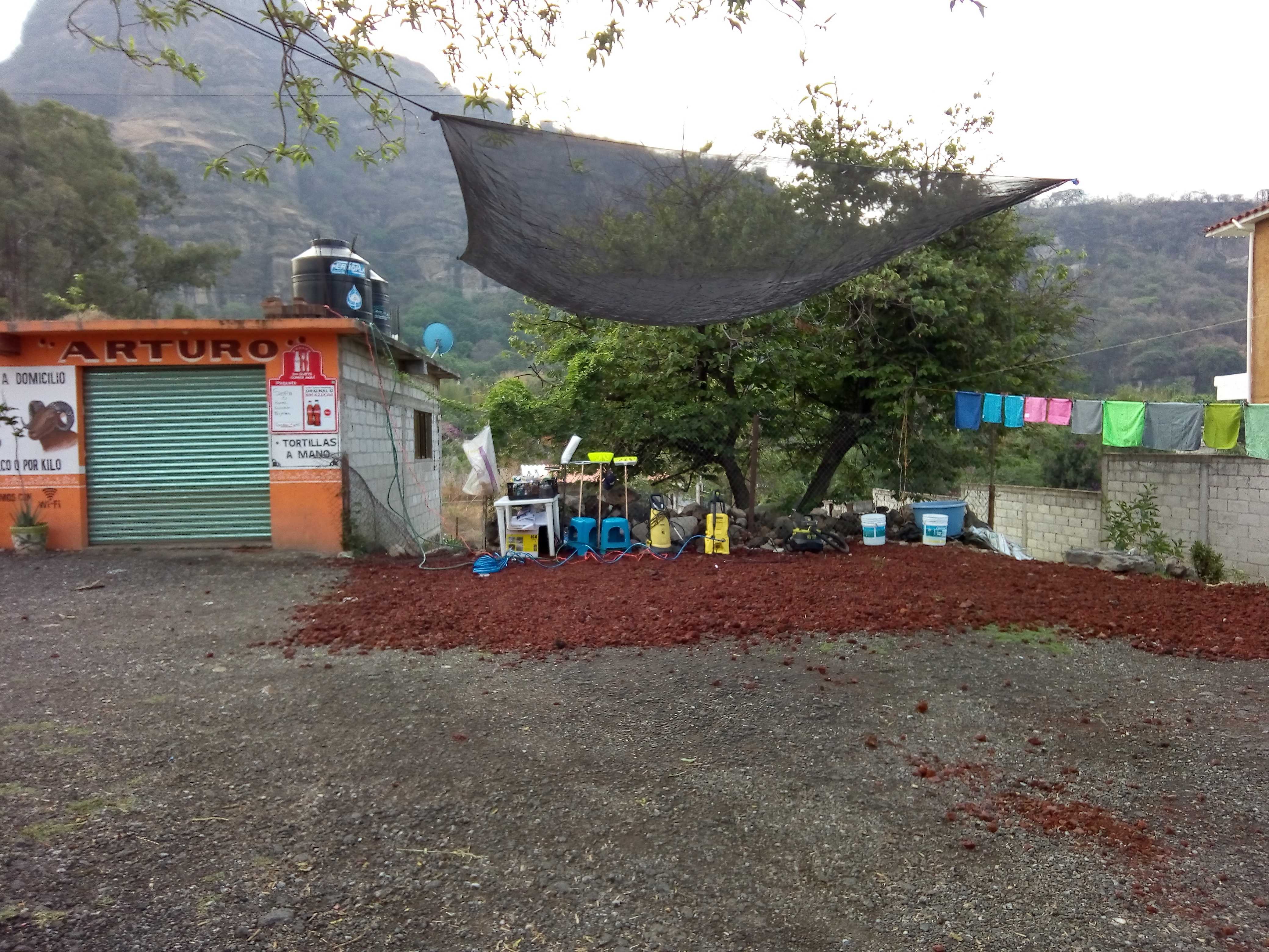 Barbacoa Don Arturo image 4