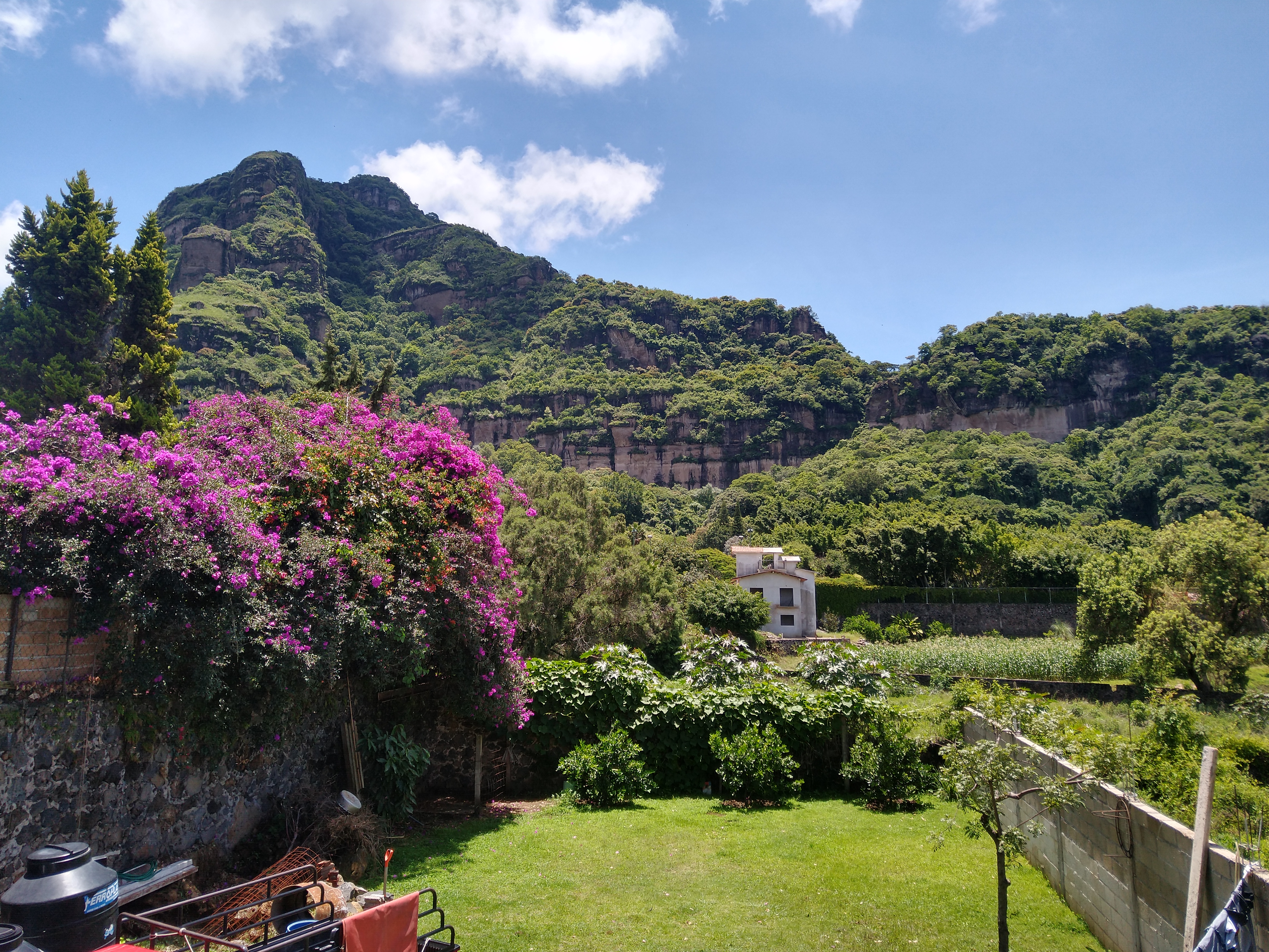 Barbacoa Don Arturo image 5