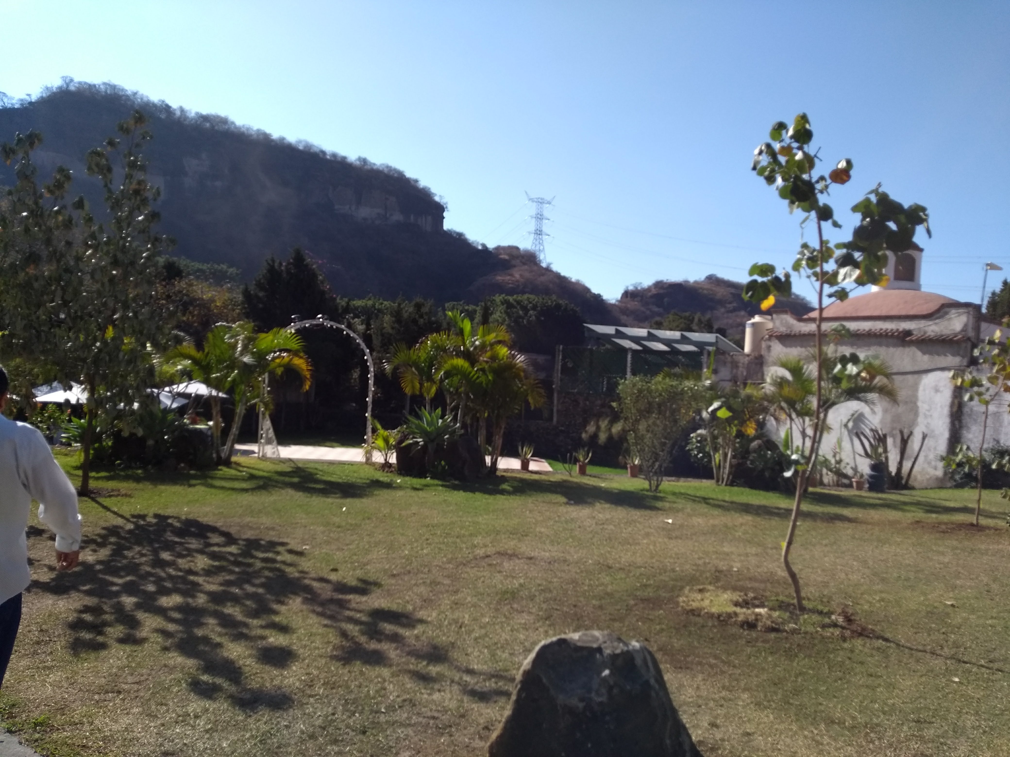 Barbacoa Don Arturo image 7