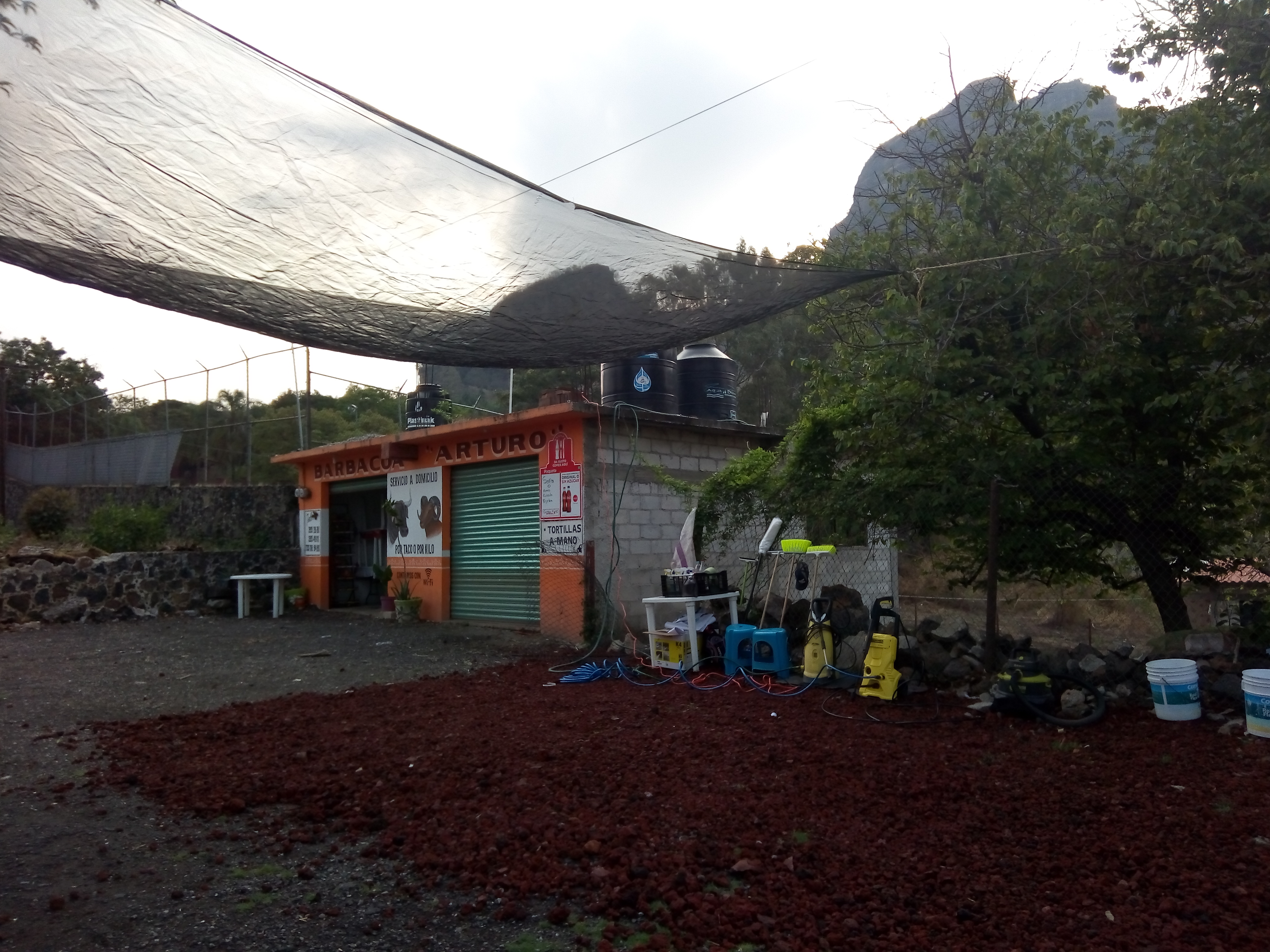 Barbacoa Don Arturo image 10