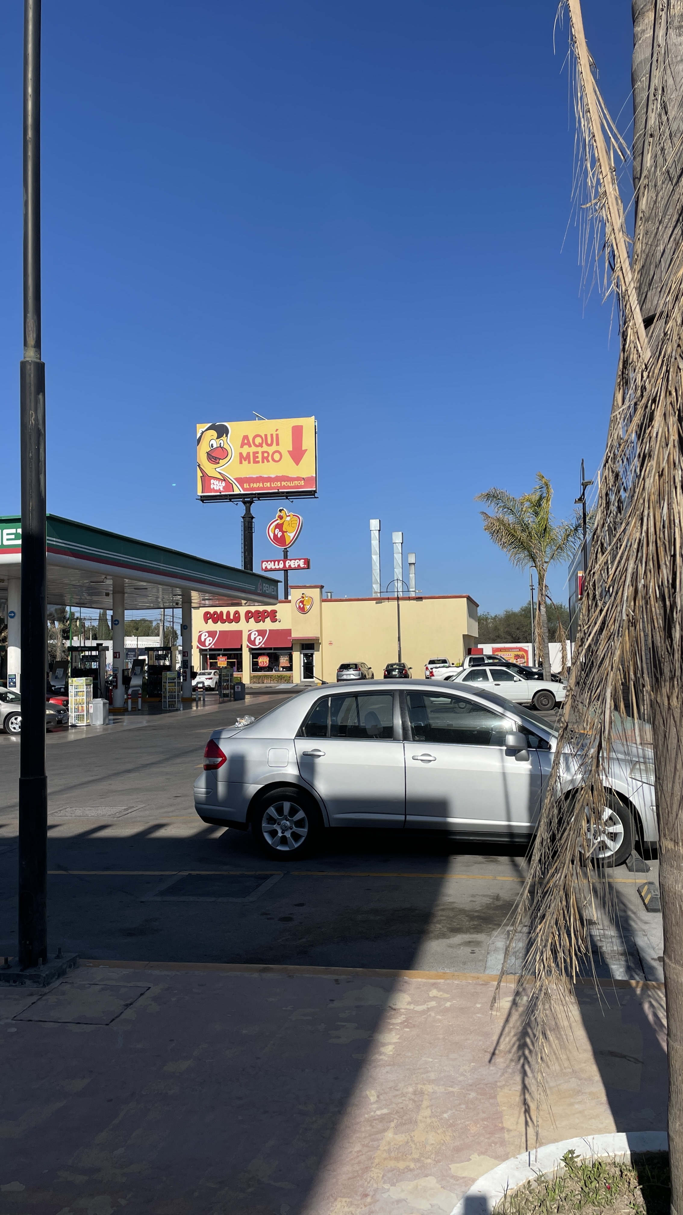 El Pollo Pepe image 4