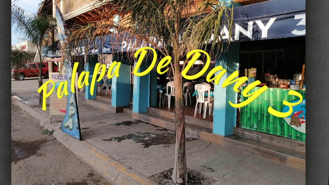 Palapa De Dany 3 image 1