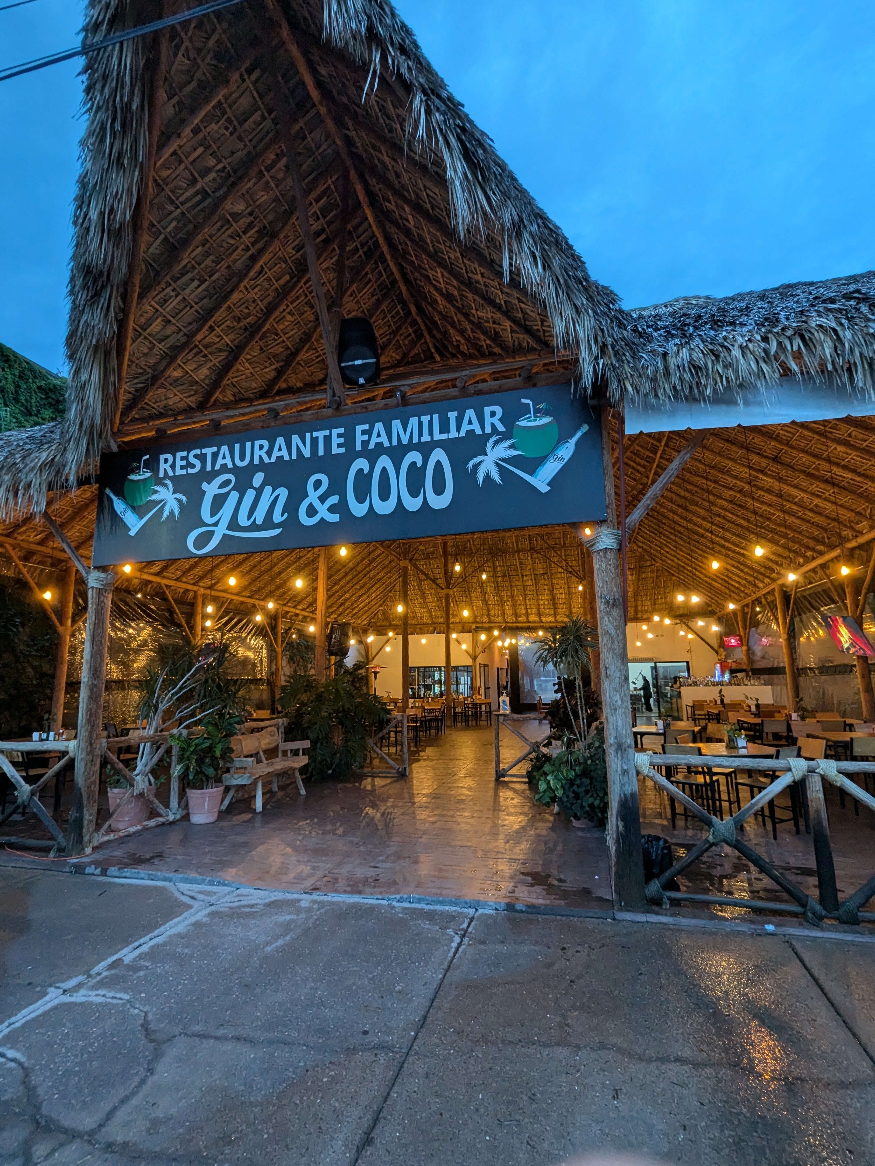 La Palapa Gin & coco image 1