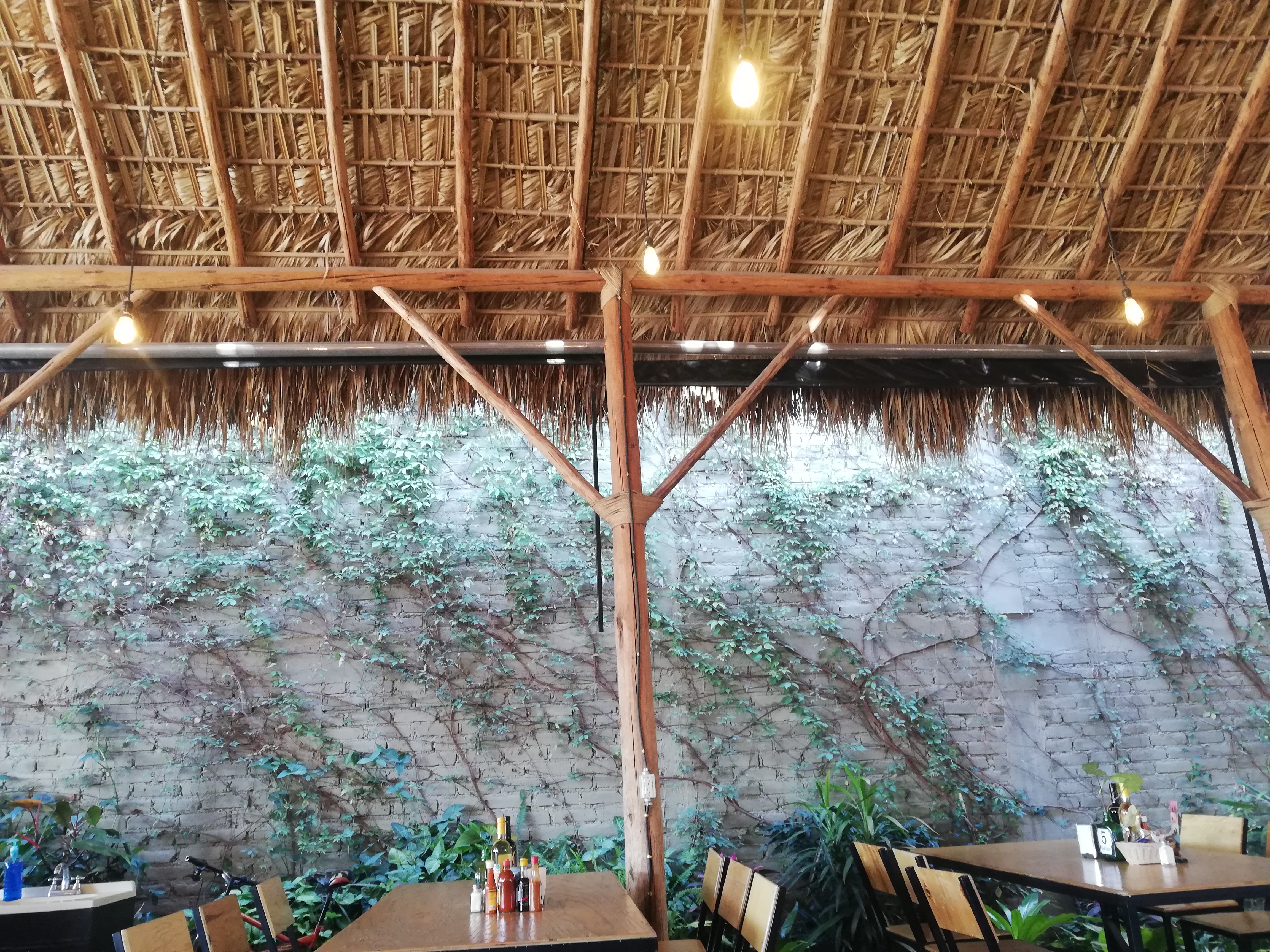 La Palapa Gin & coco image 10