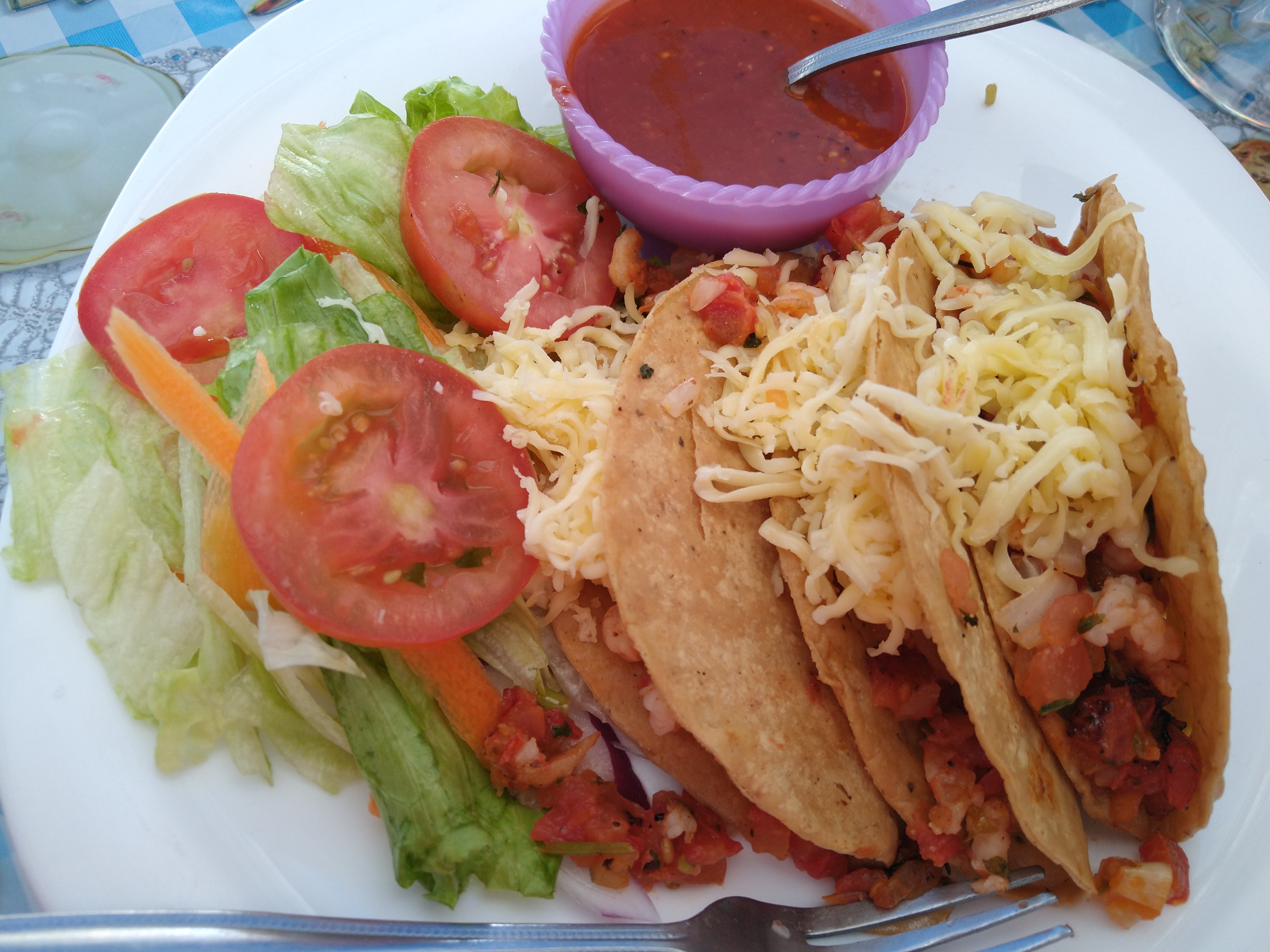 Sol, Mar Y Tierra image 7