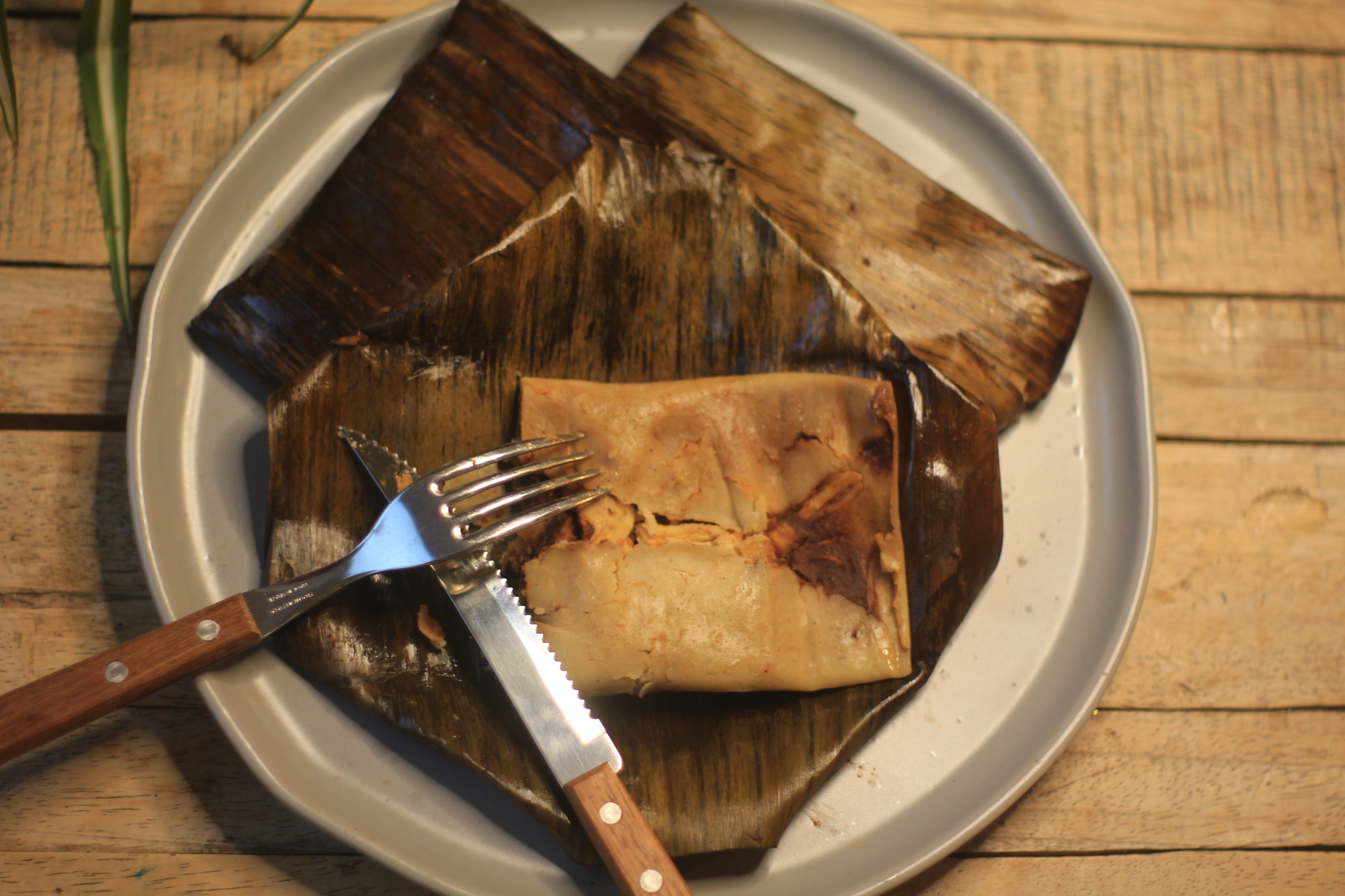 EL SABOR DE AURORA image 5