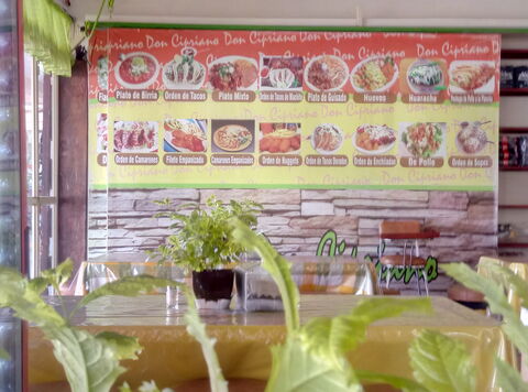 Birria y Guisados Don Cipriano image 5