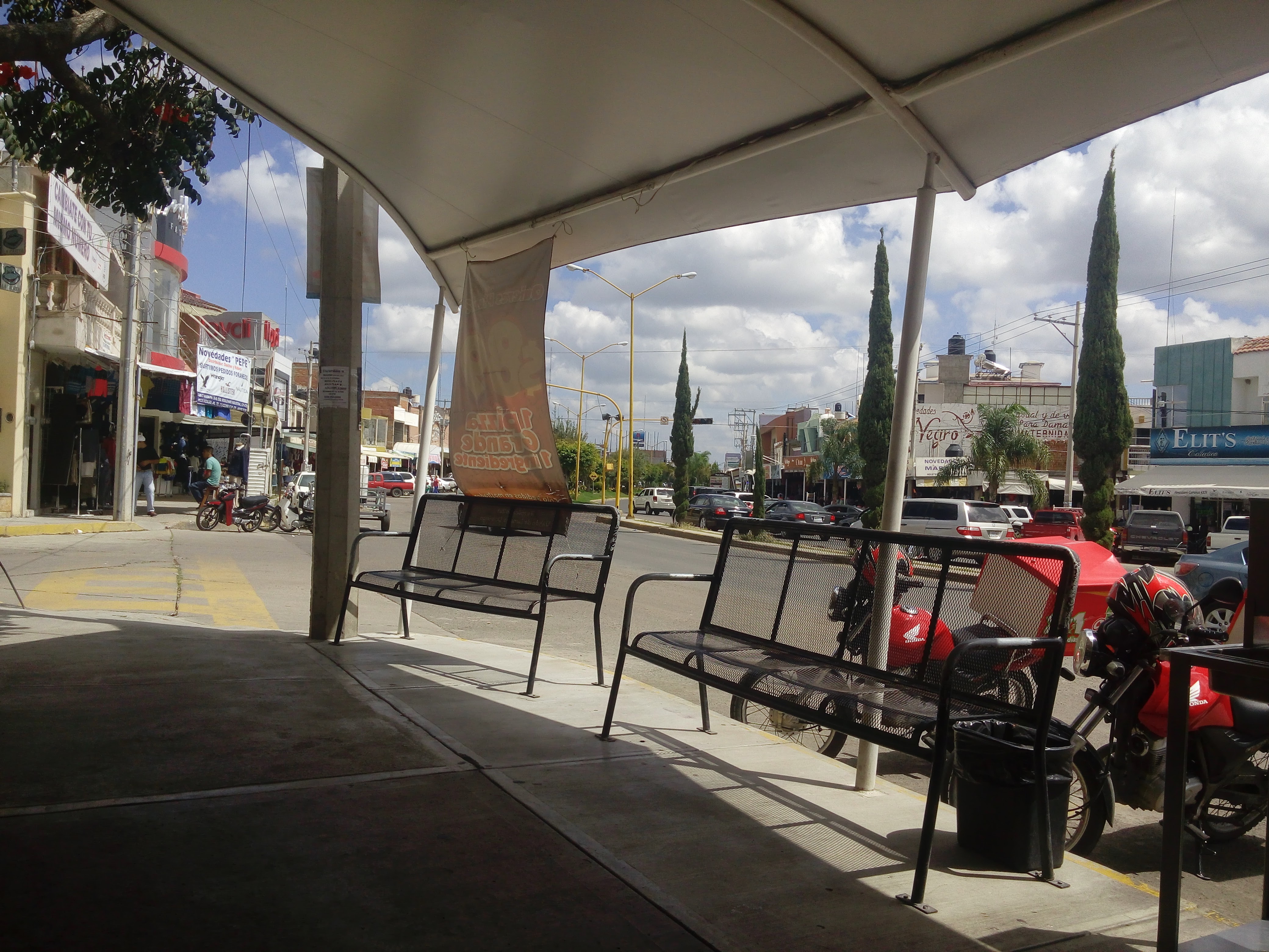 Cheese Pizza Villa Hidalgo image 9