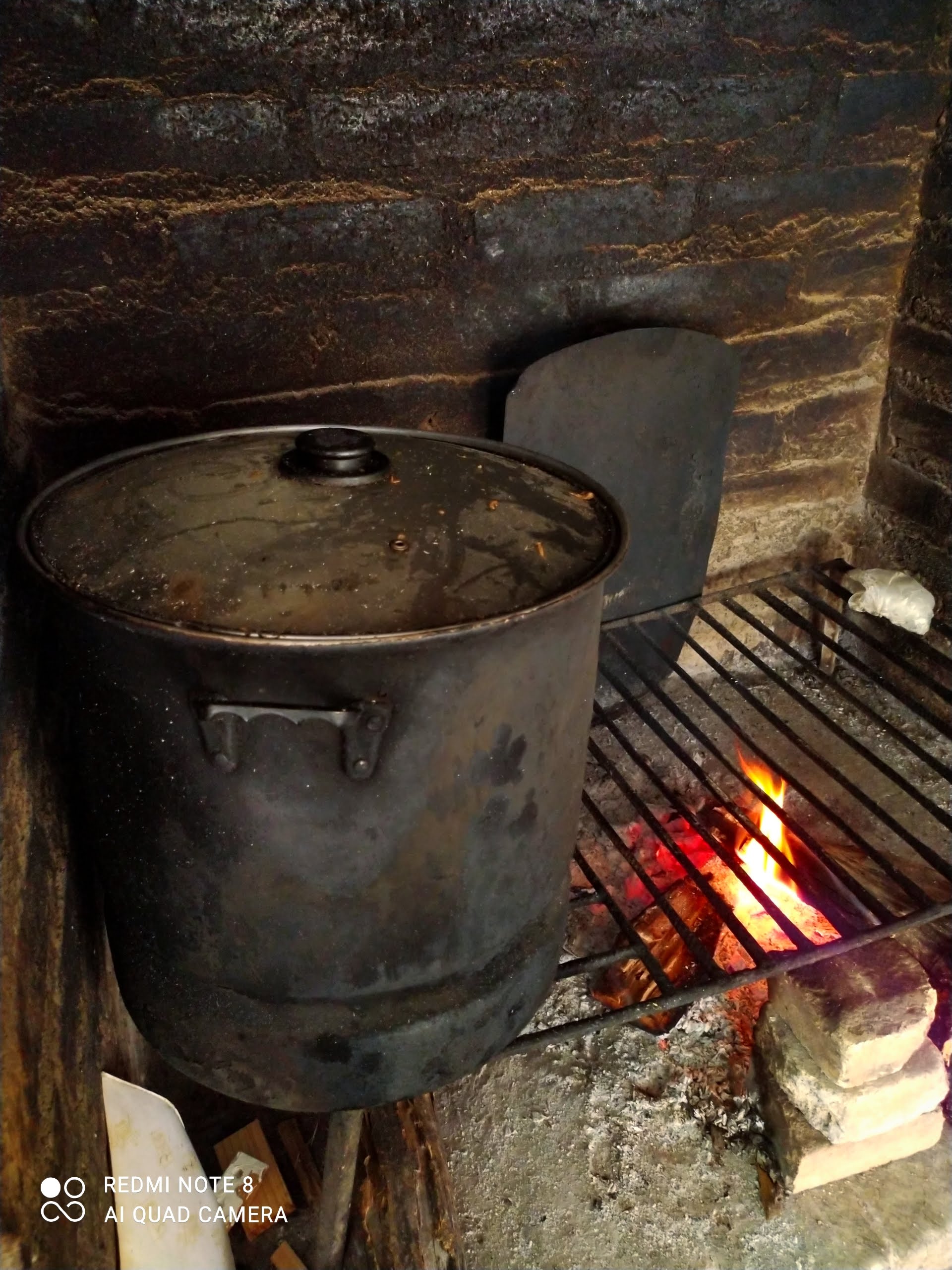 Tamales Juany image 5