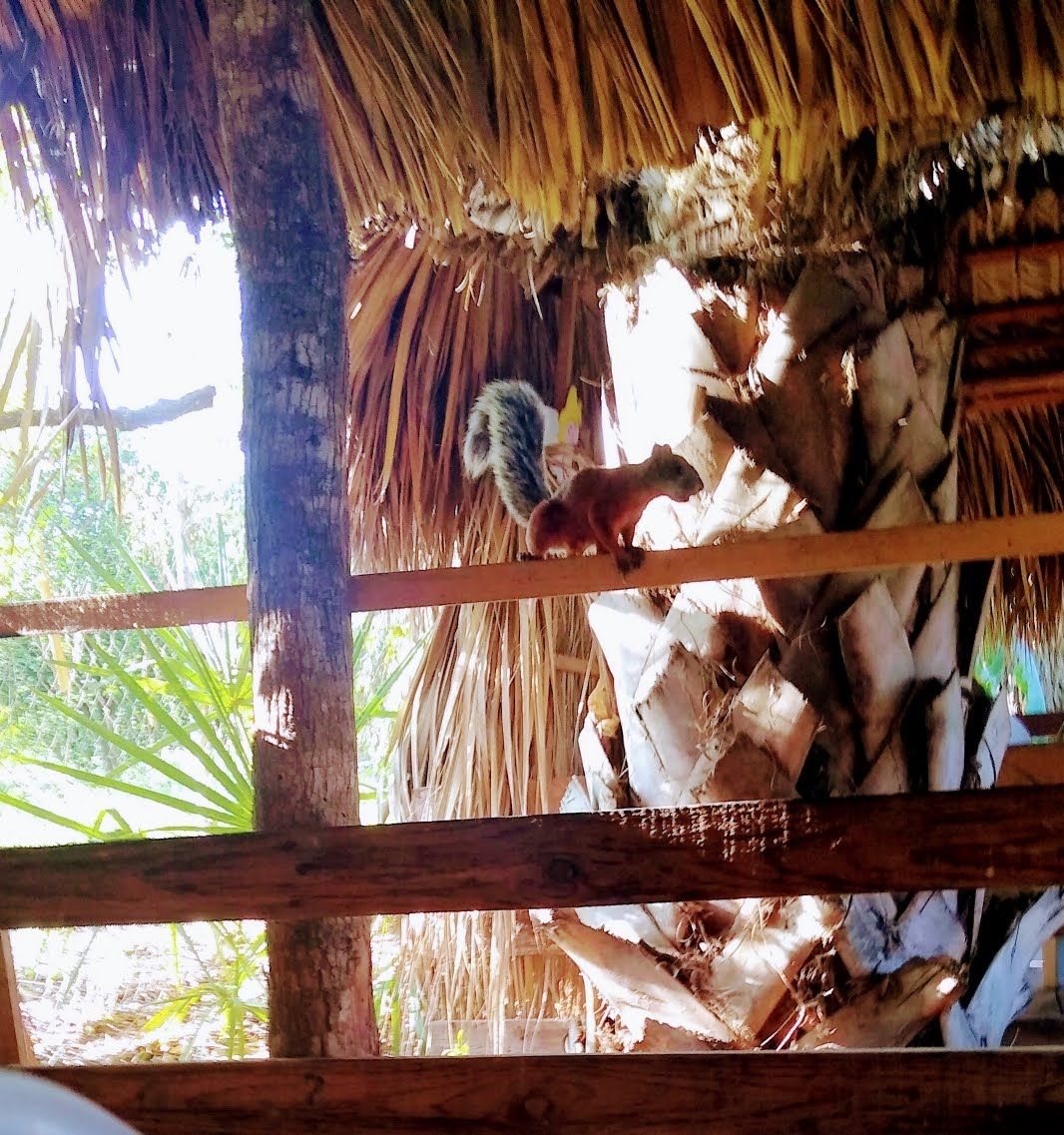 Comedor Los Nogales image 6