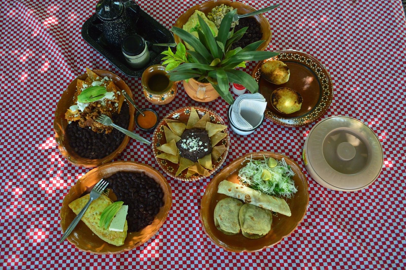 La Catapulta Comedor image 6