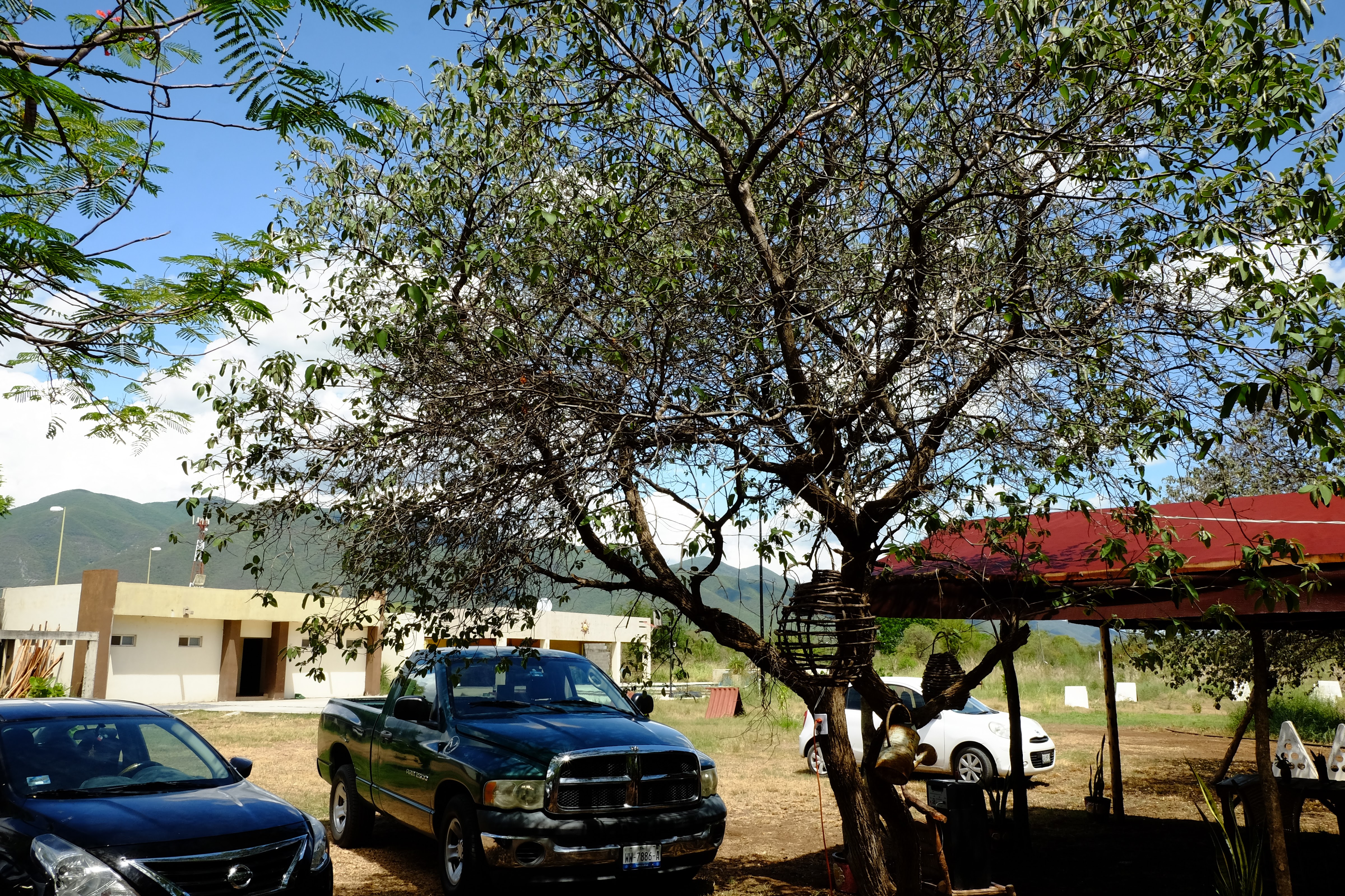 La Catapulta Comedor image 8