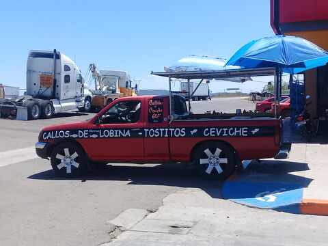 "EL PROFE" CALLITOS Y CEVICHE DE LOBINA image 8
