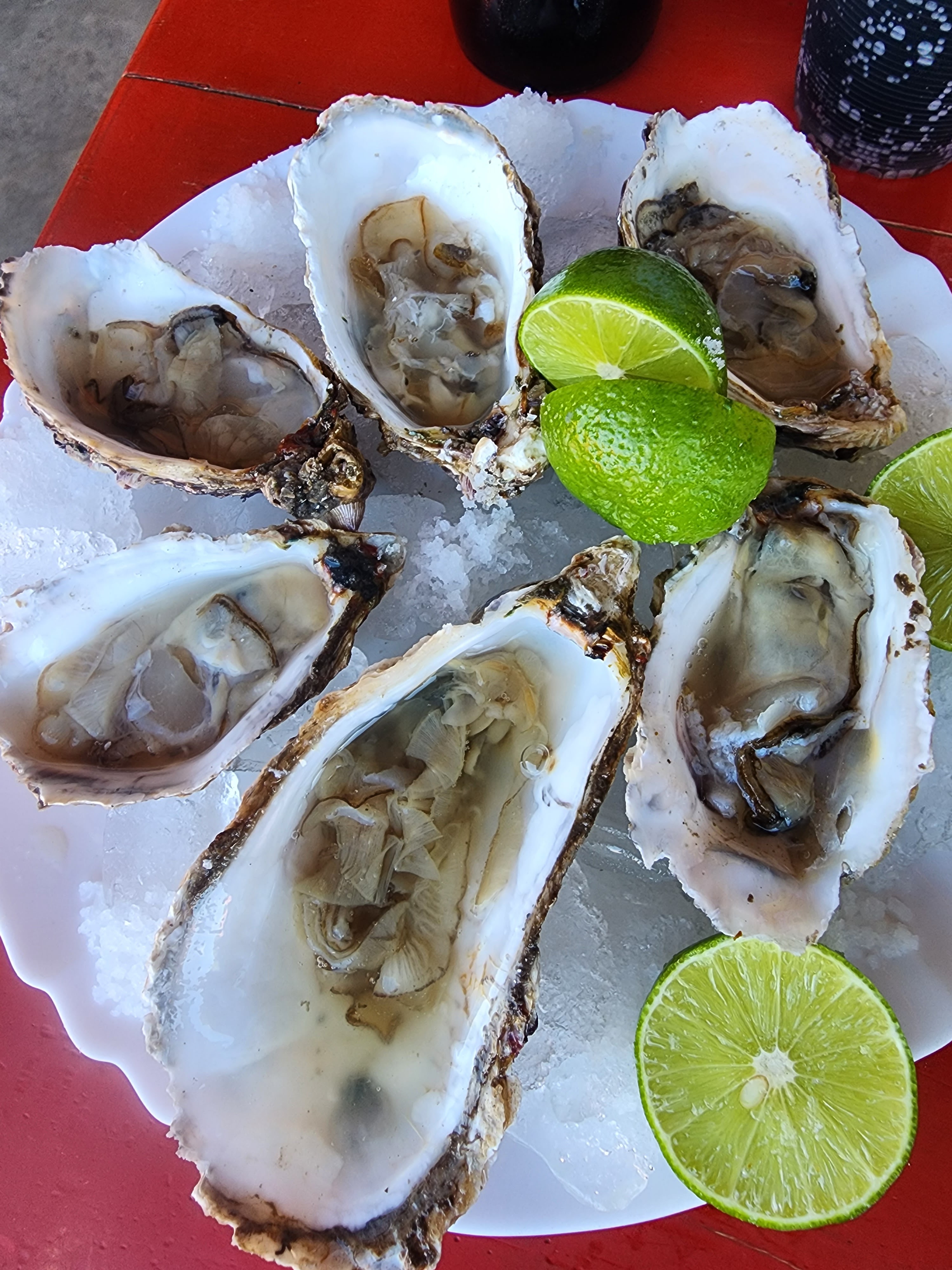 Callos y mariscos Kon-JP image 8