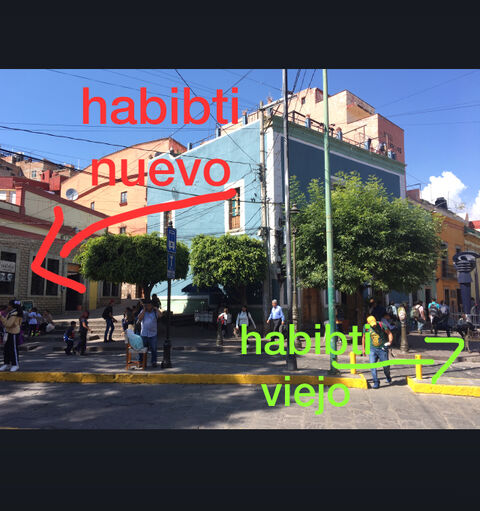 Habibti Falafel Guanajuato, centro image 3