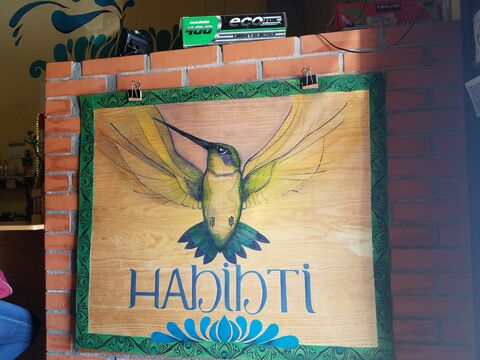 Habibti Falafel Guanajuato, centro image 5