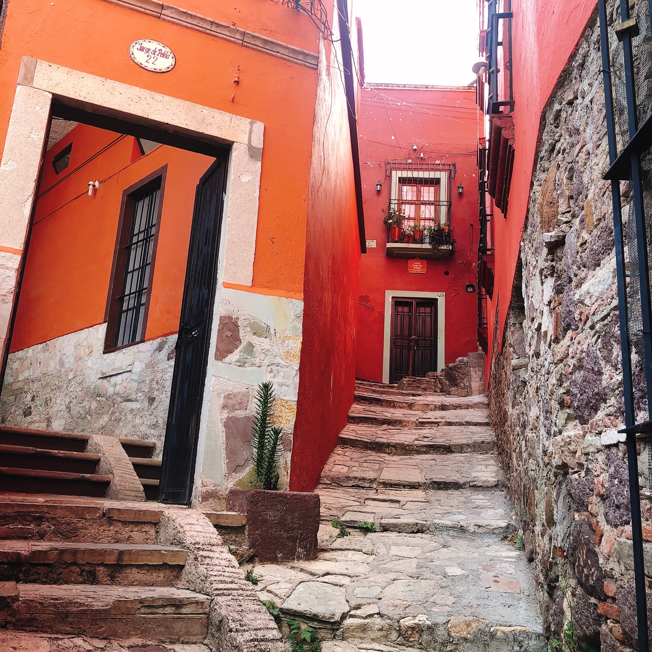 Habibti Falafel Guanajuato, centro image 7