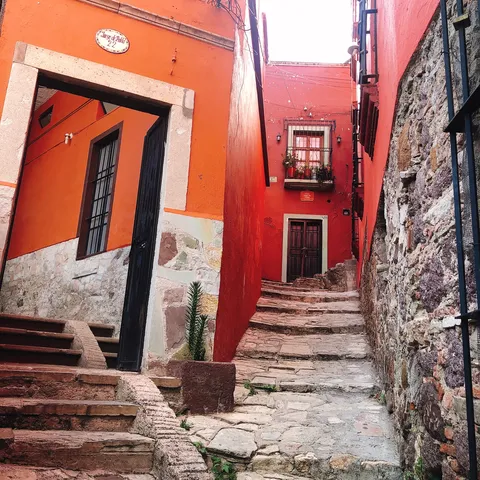 Habibti Falafel Guanajuato, centro image 7
