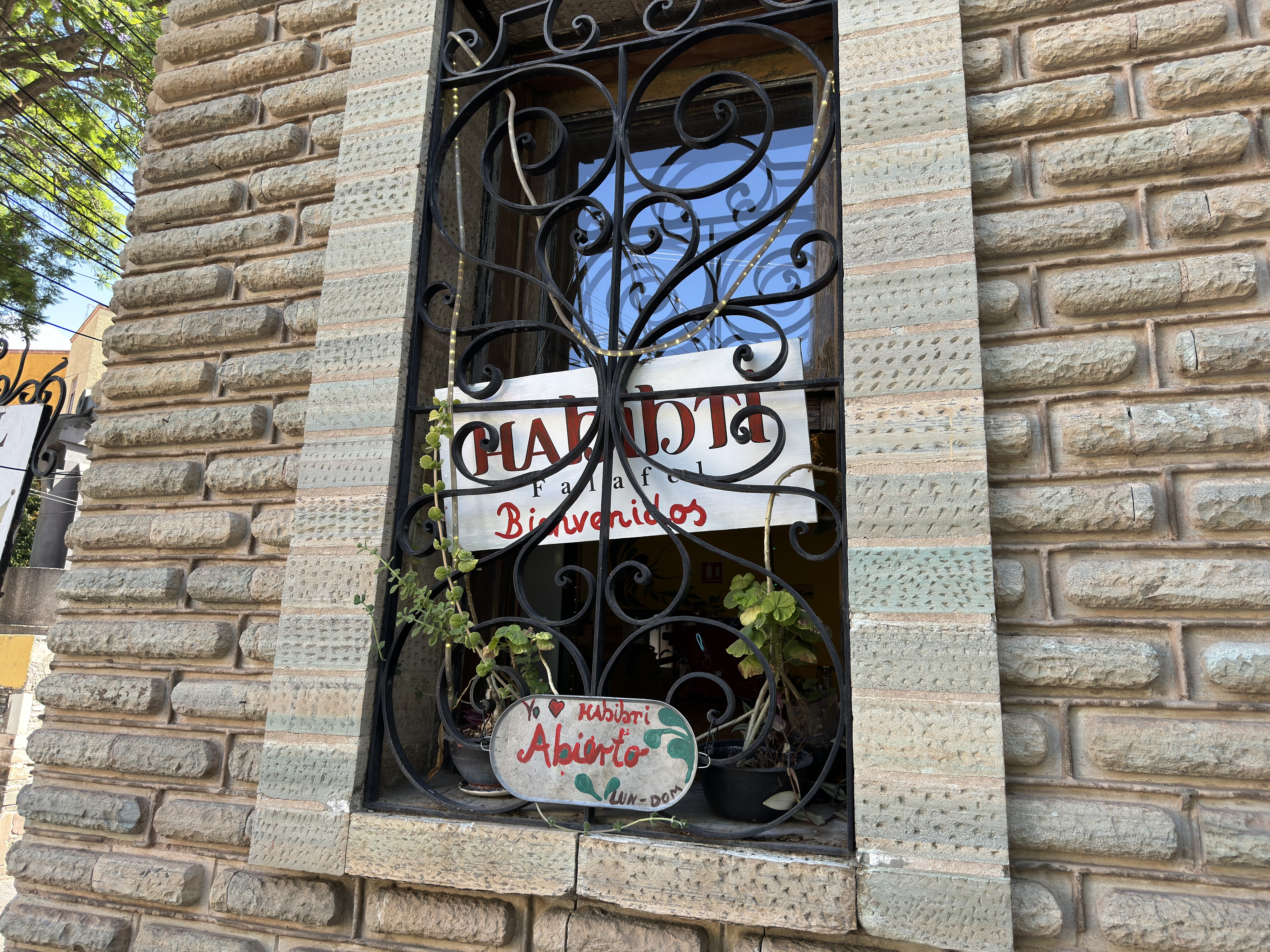 Habibti Falafel Guanajuato, centro image 9