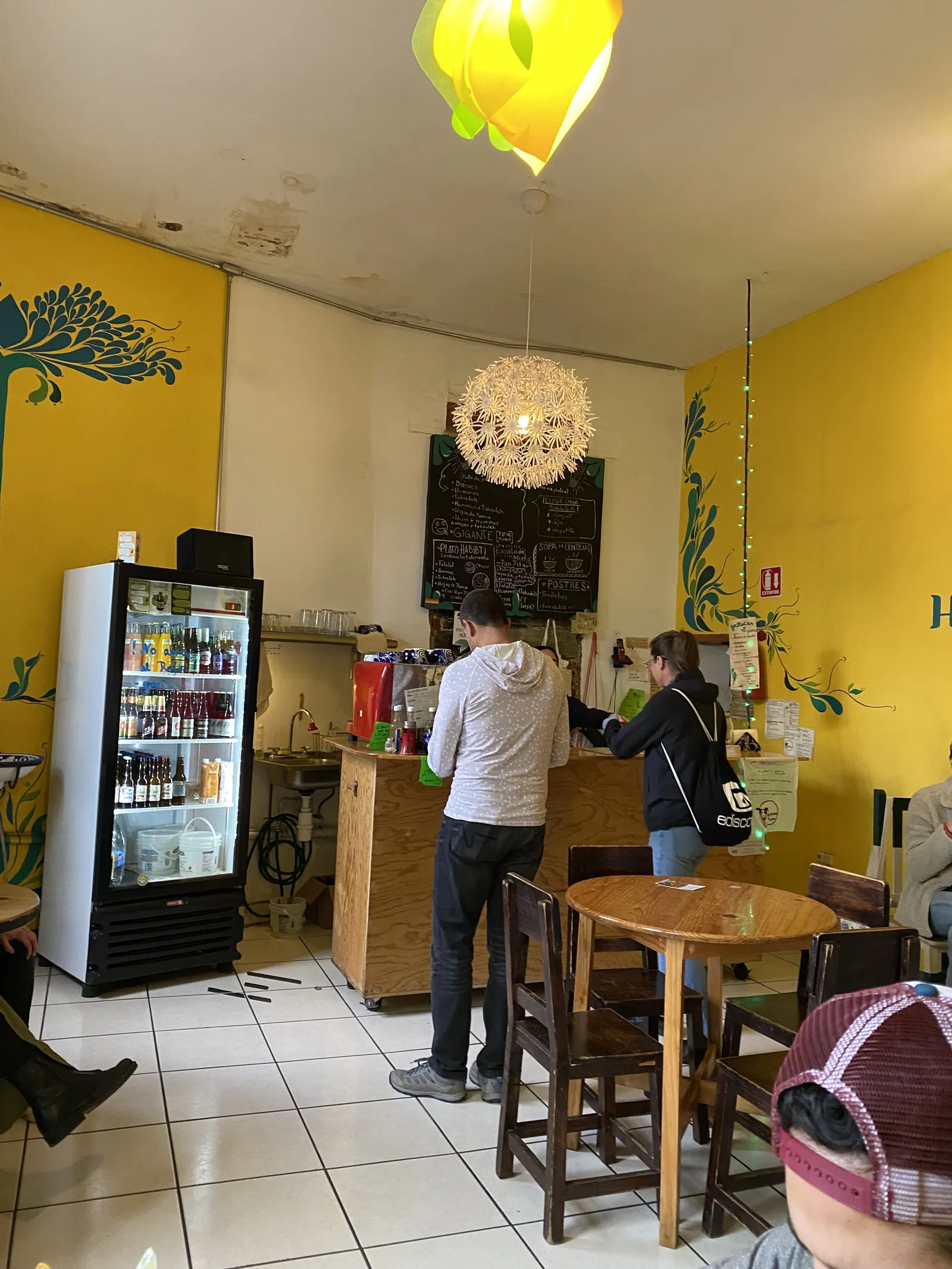 Habibti Falafel Guanajuato, centro image 10
