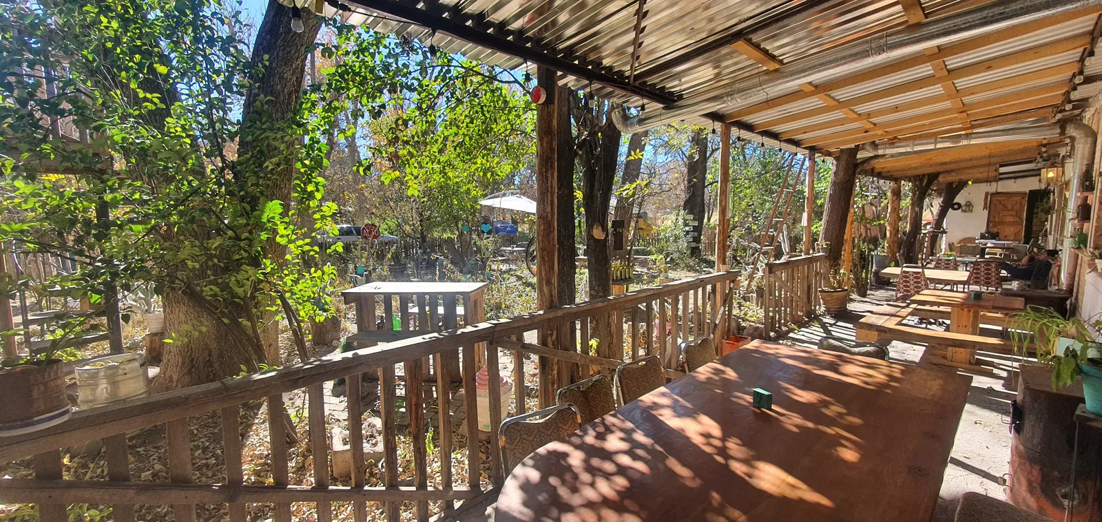 Bichos Cafe image 1
