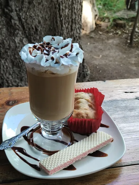 Bichos Cafe image 5