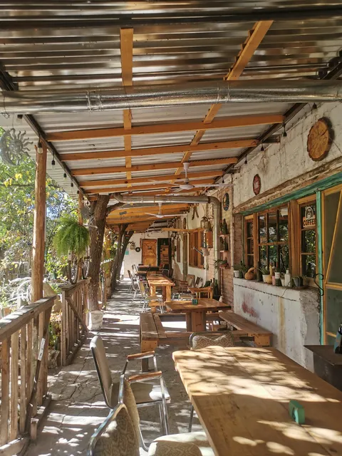 Bichos Cafe image 6