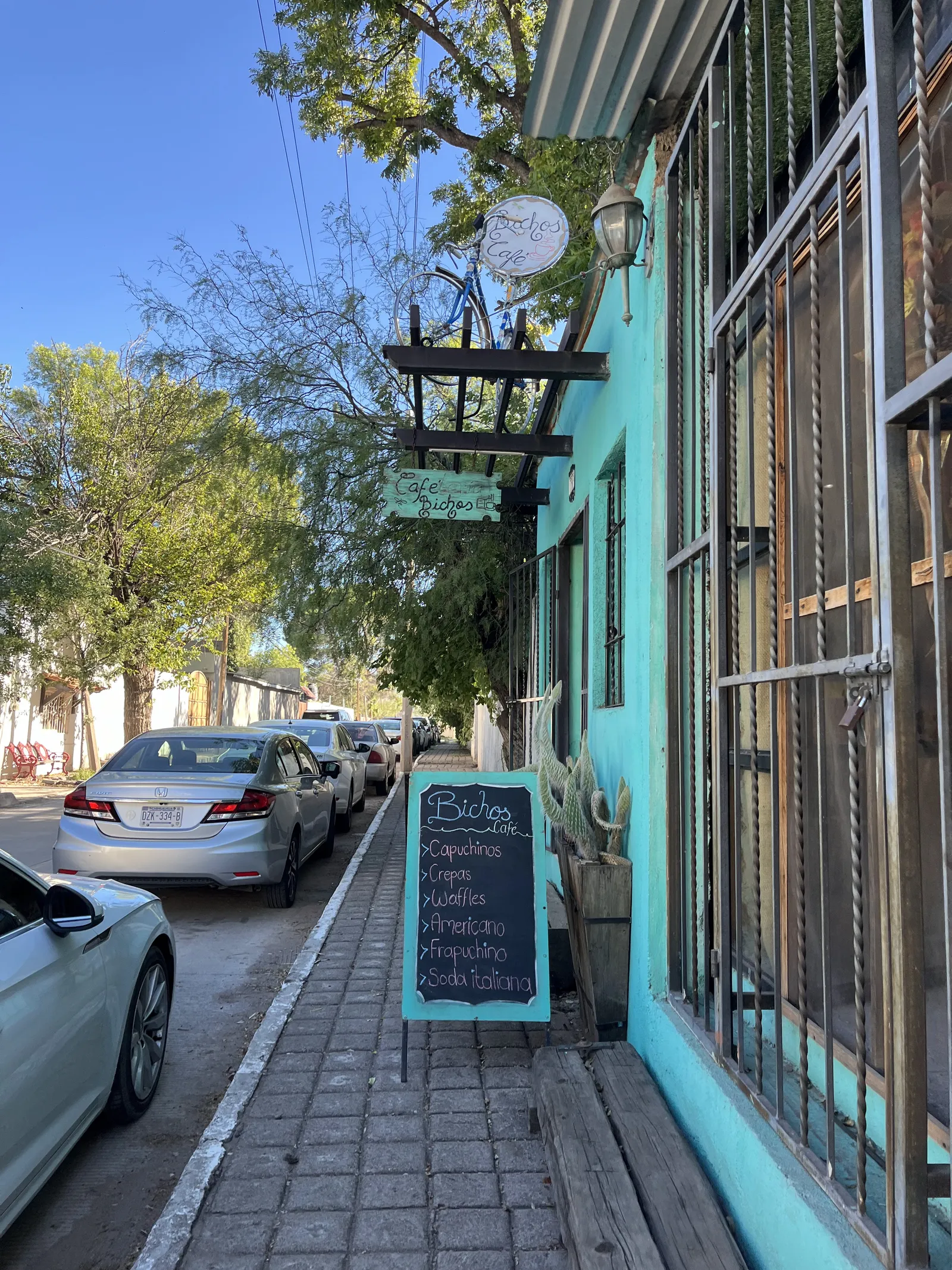 Bichos Cafe image 7