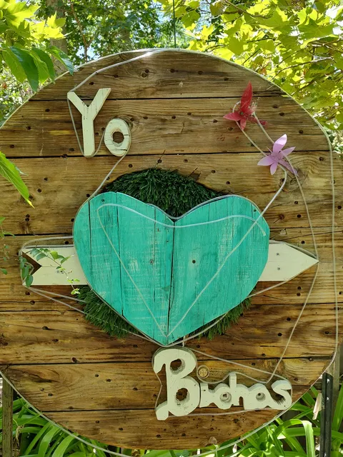 Bichos Cafe image 8