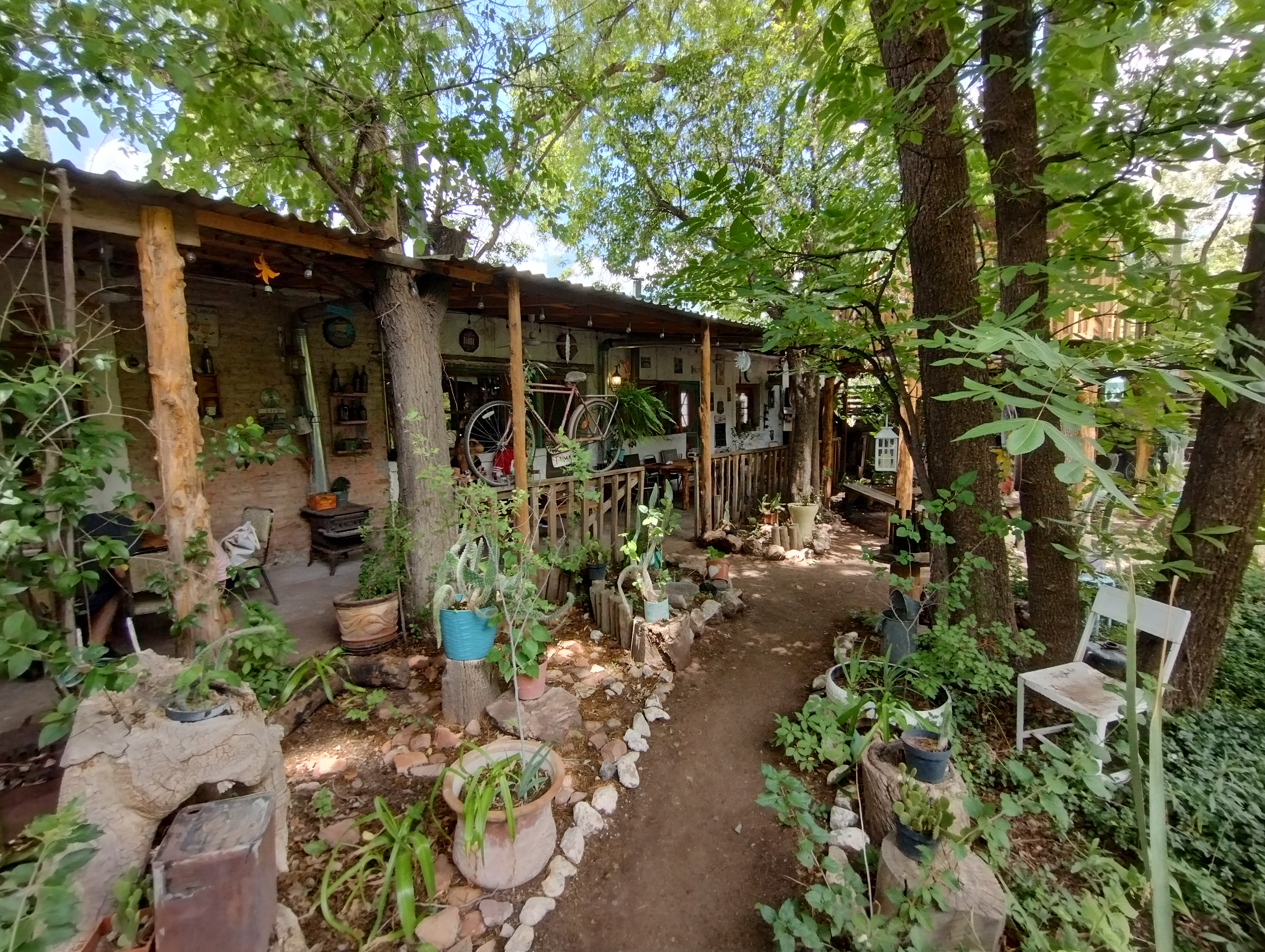 Bichos Cafe image 10