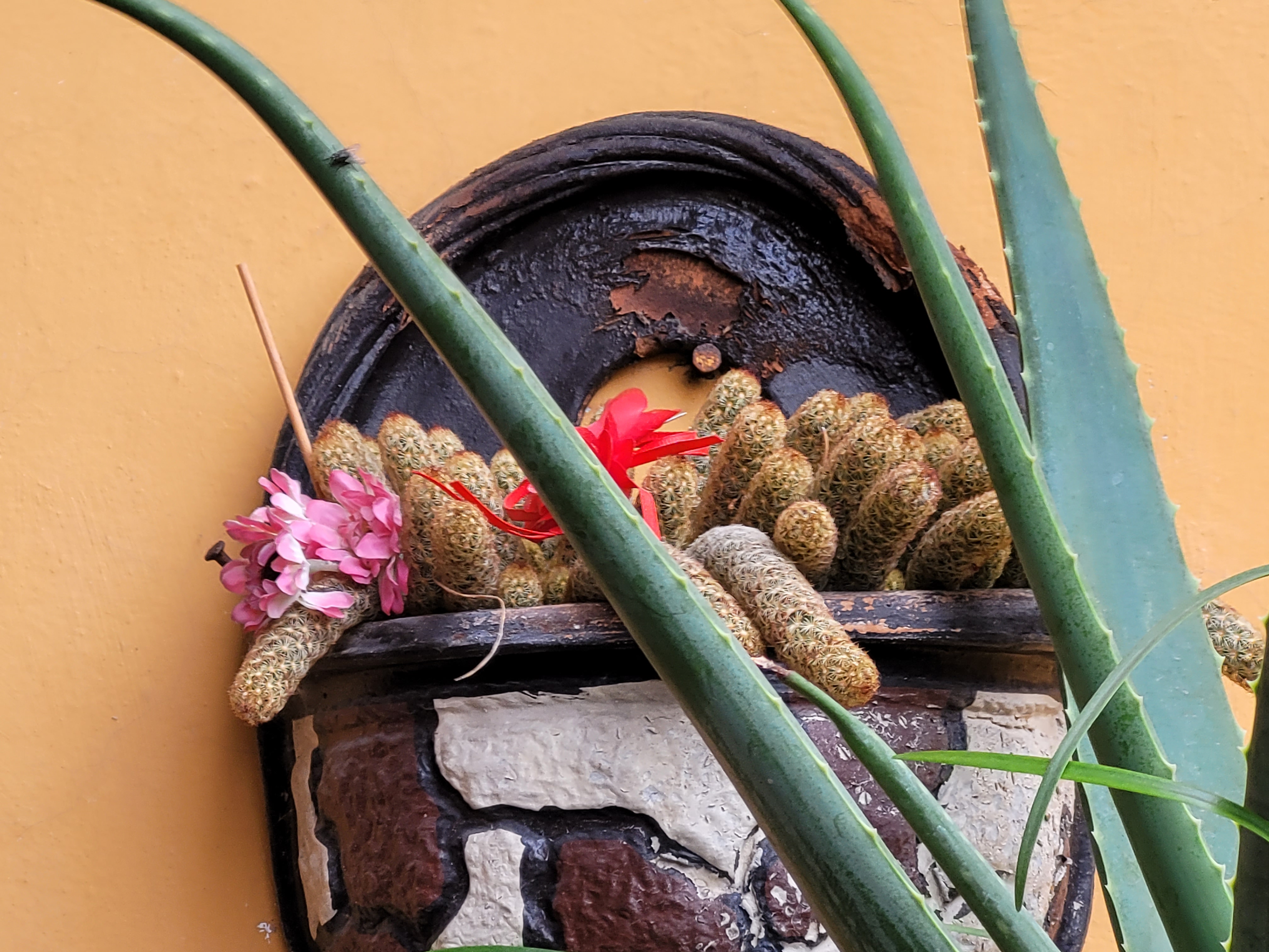 Gorditas kriz image 4