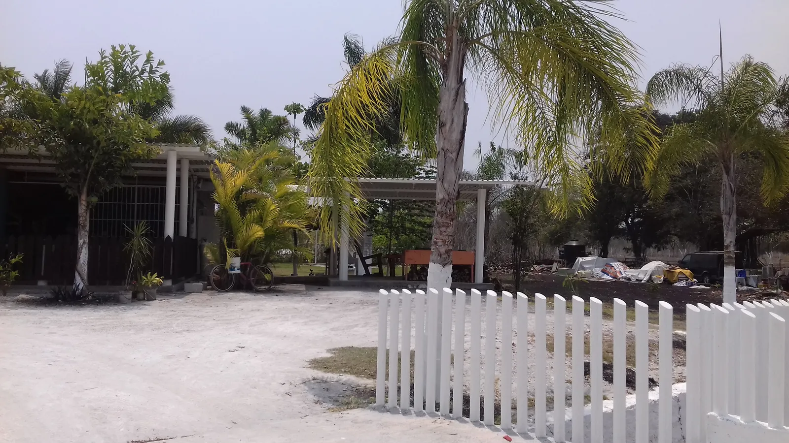 El eden image 5