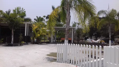 El eden image 5