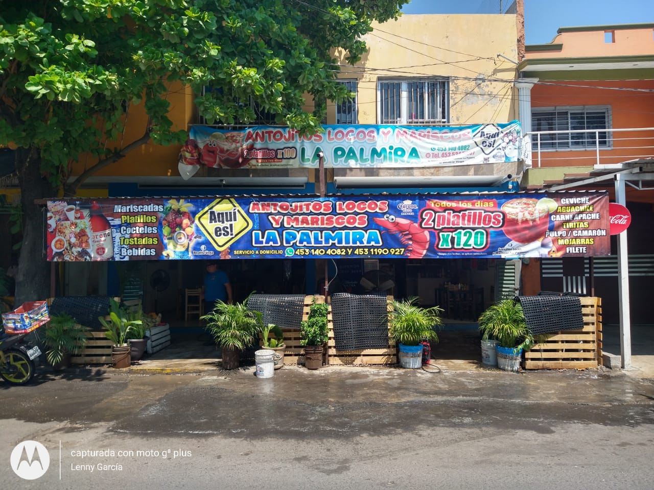 antojitos locos y mariscos la palmira image 1