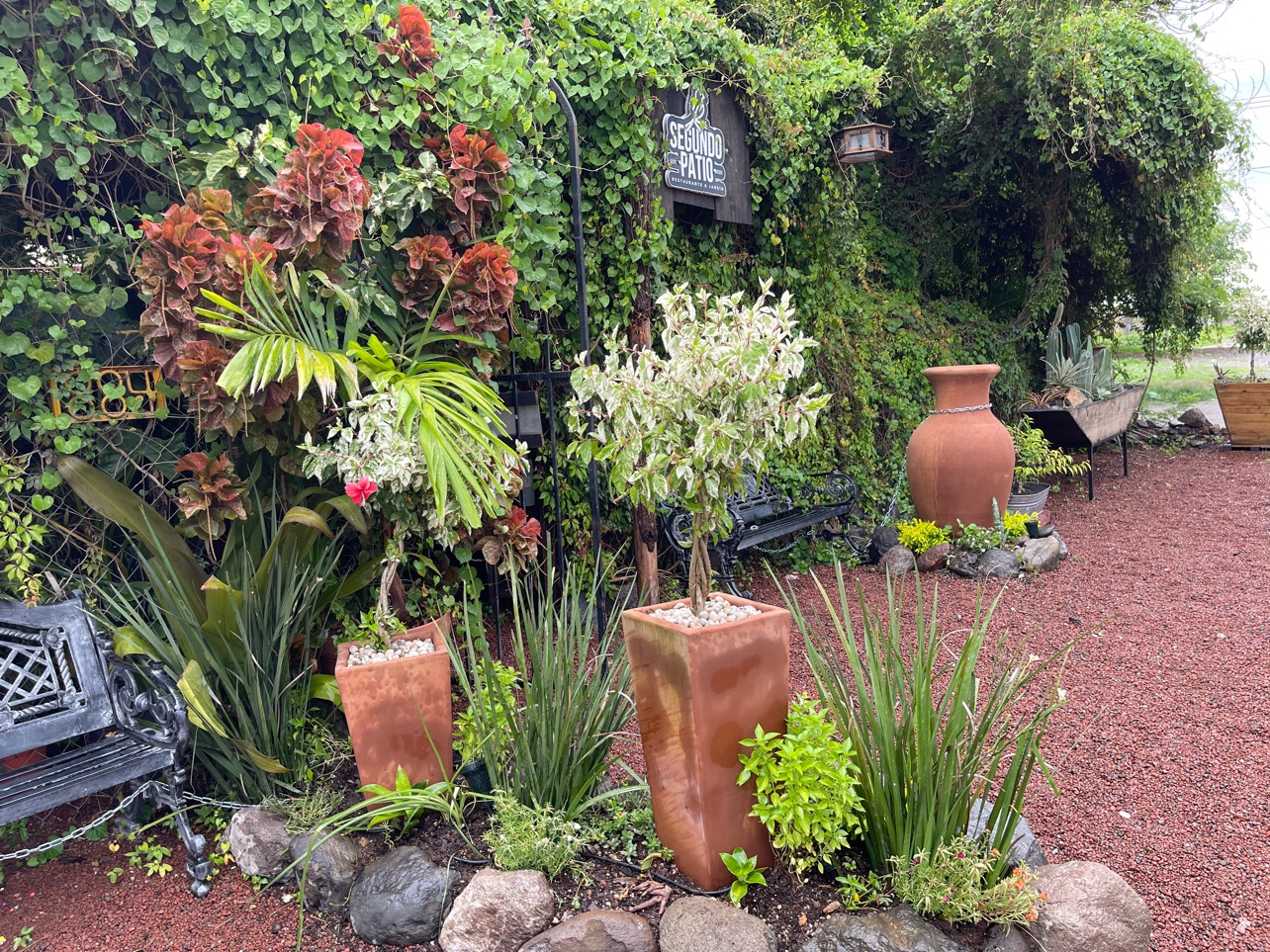 REST. SEGUNDO PATIO image 6