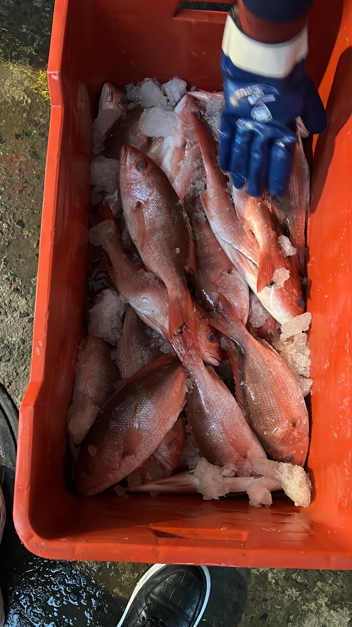 pescados y mariscos el farallon image 3