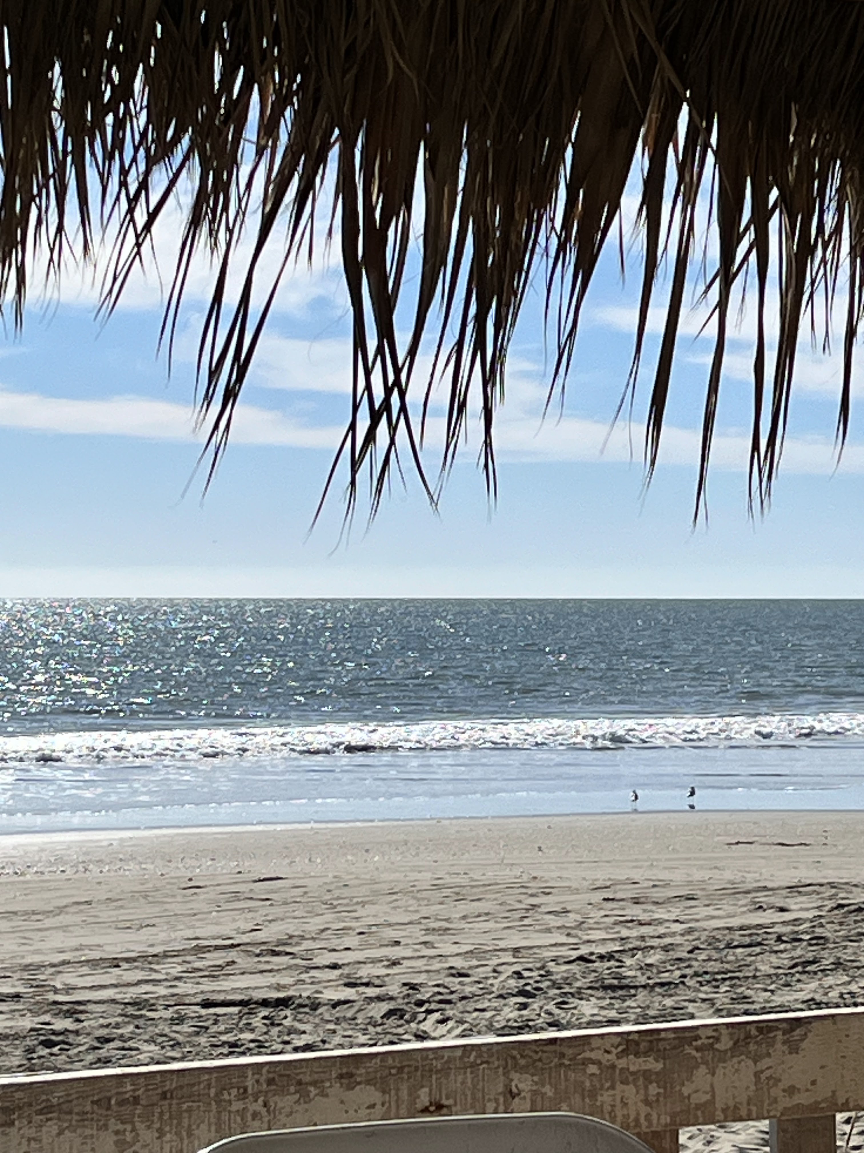 Restaurant El Che Leyva image 4