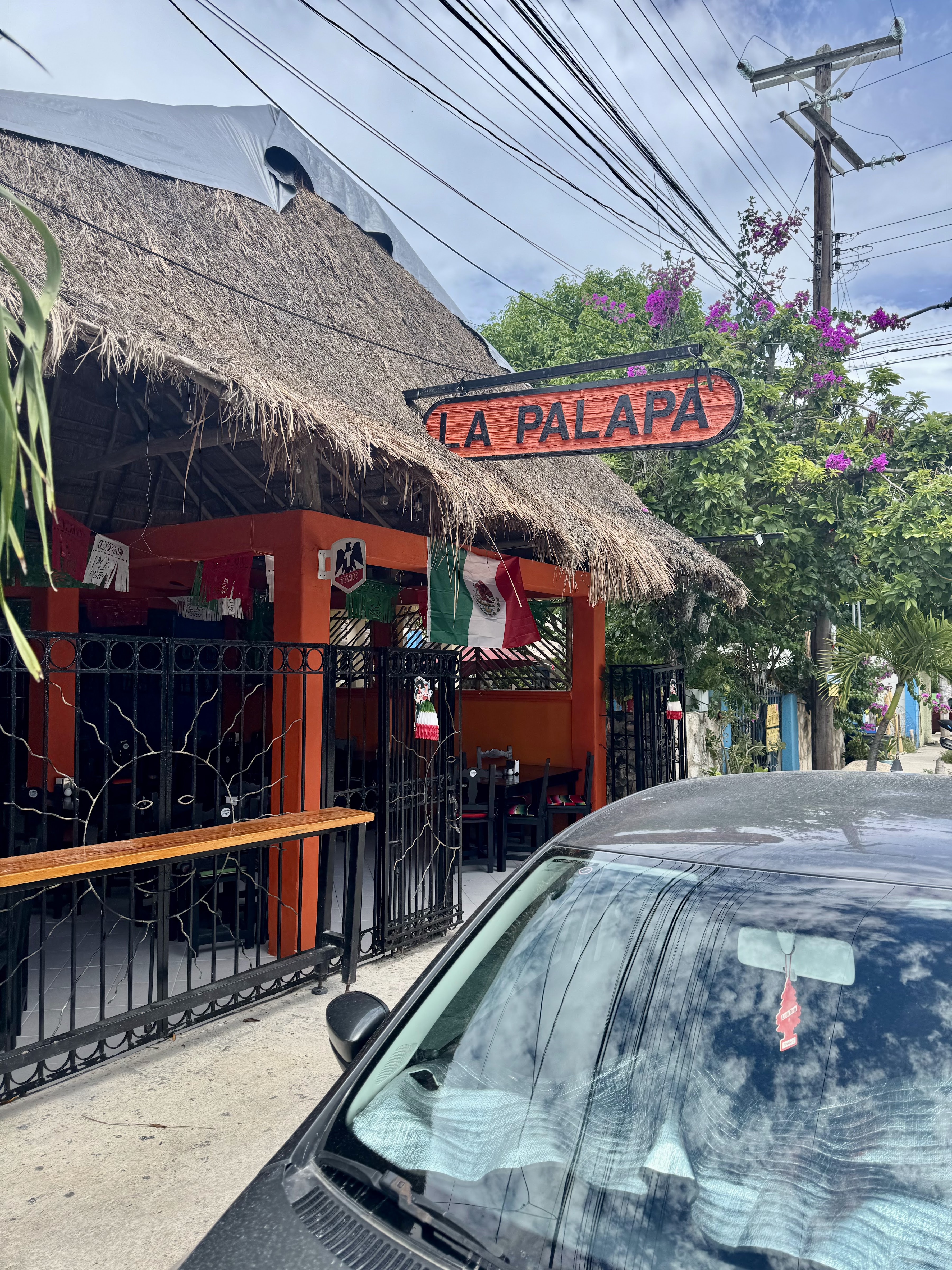 La Palapa image 1