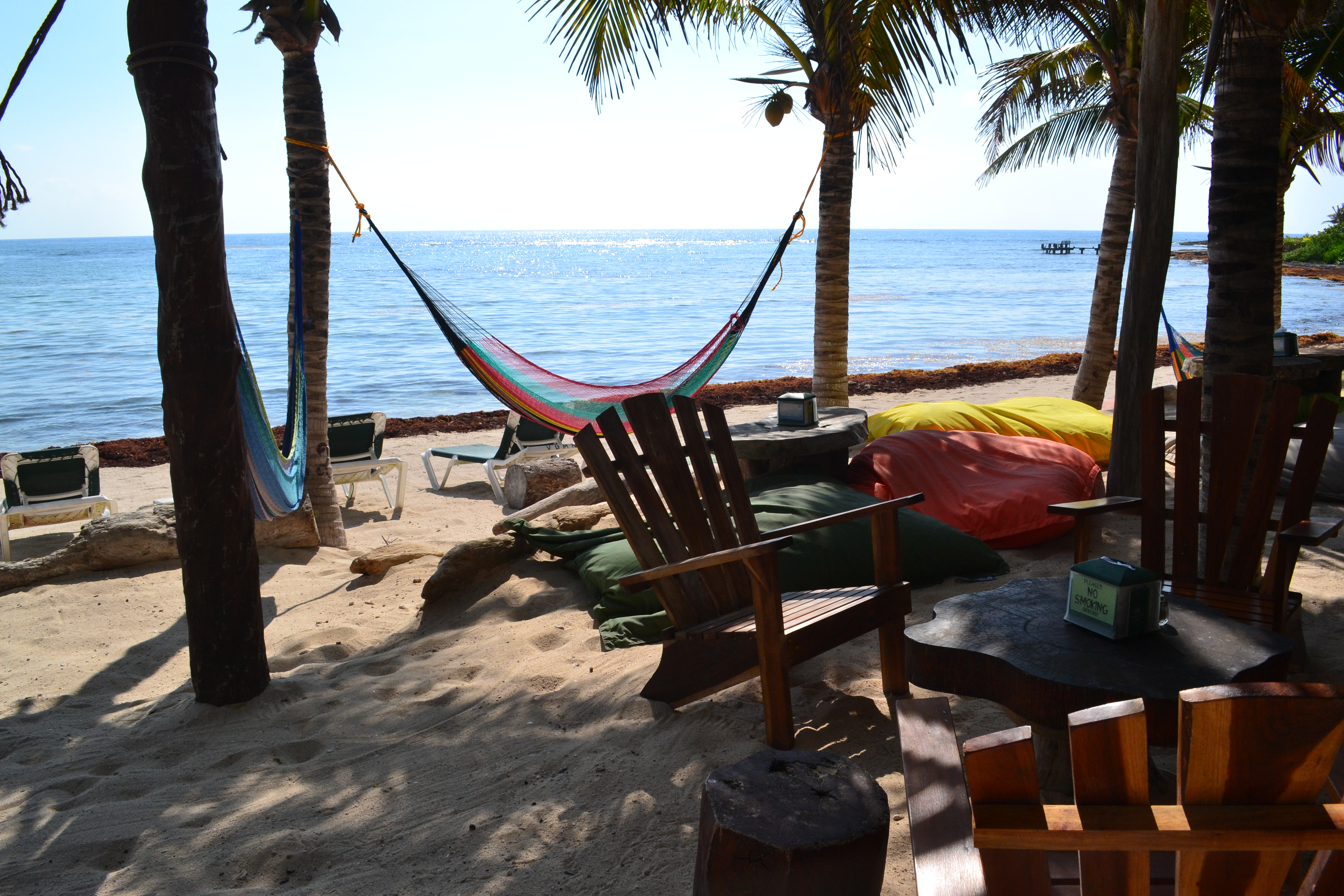 La Buena Vida image 1