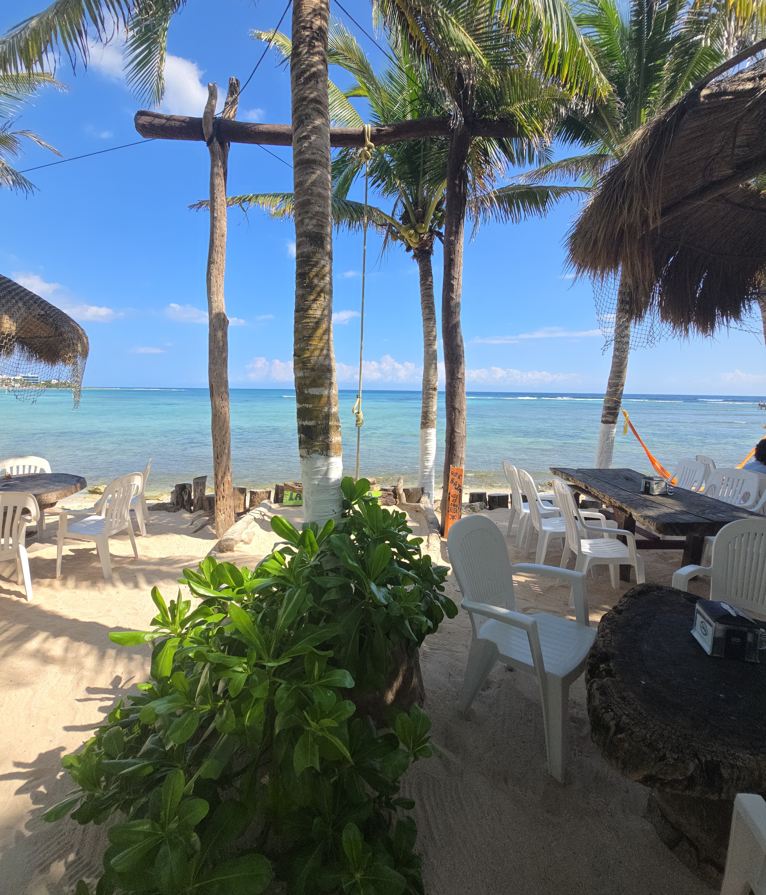 La Buena Vida image 6