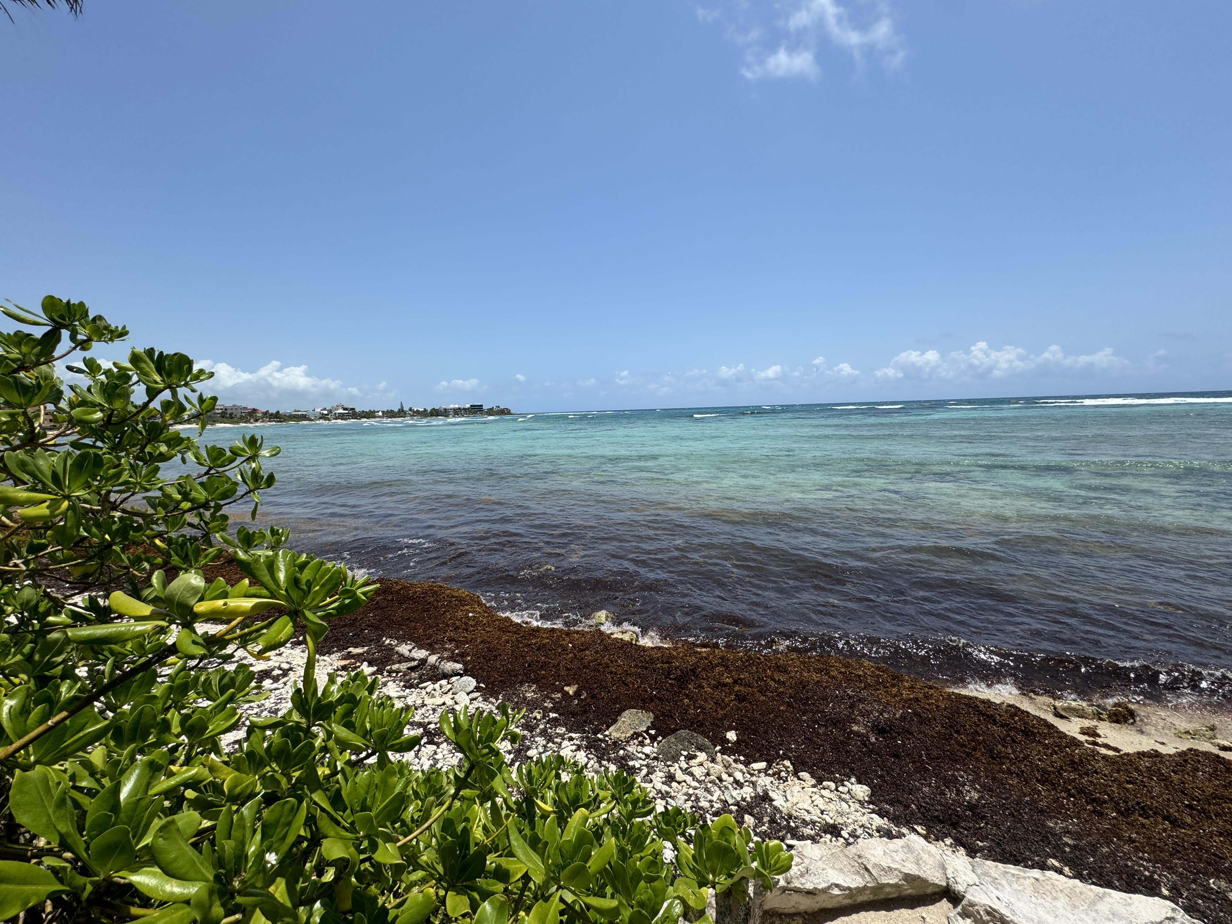 La Buena Vida image 7