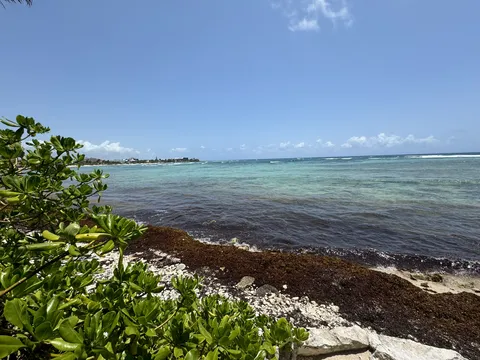 La Buena Vida image 7