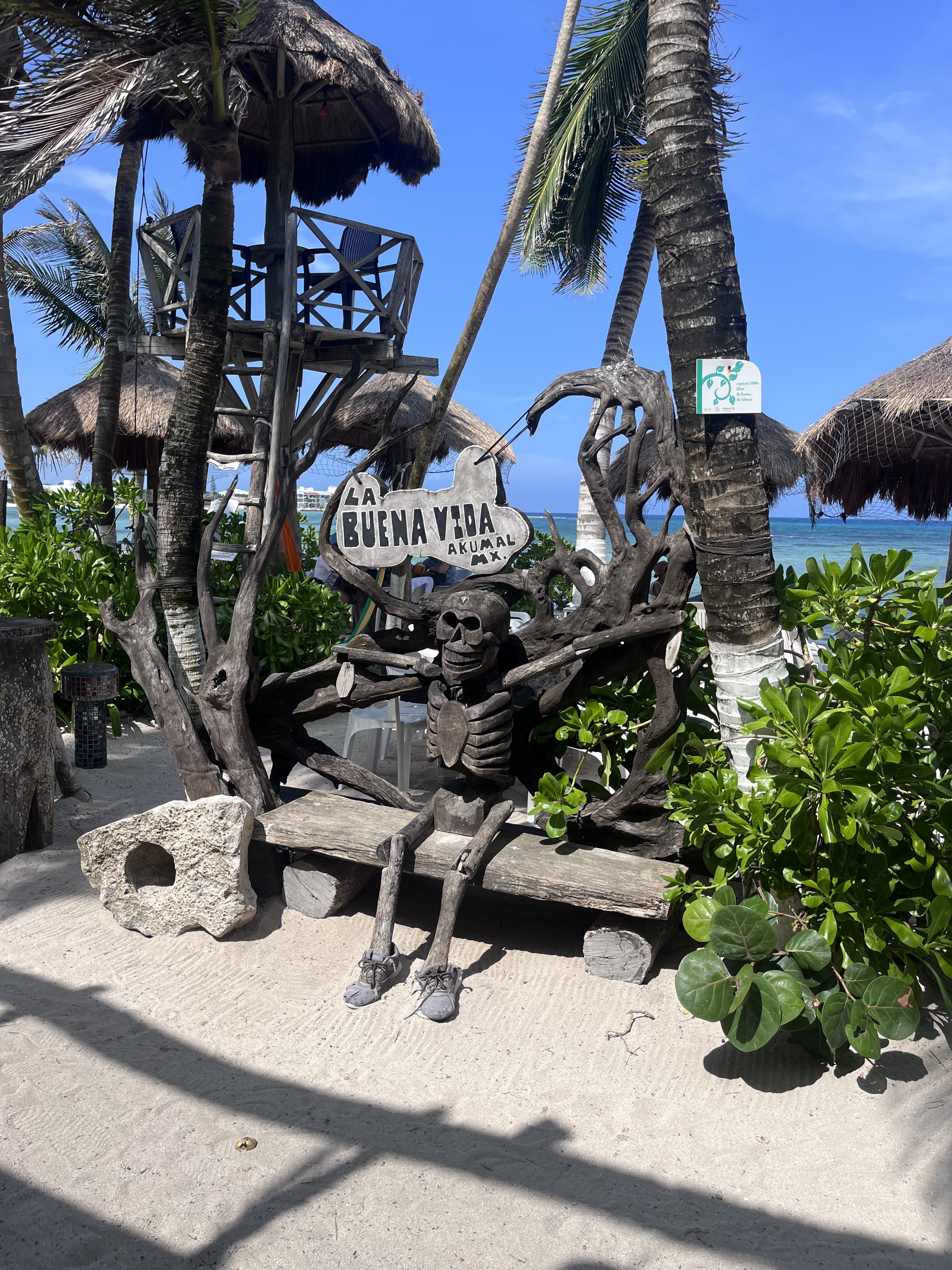 La Buena Vida image 9