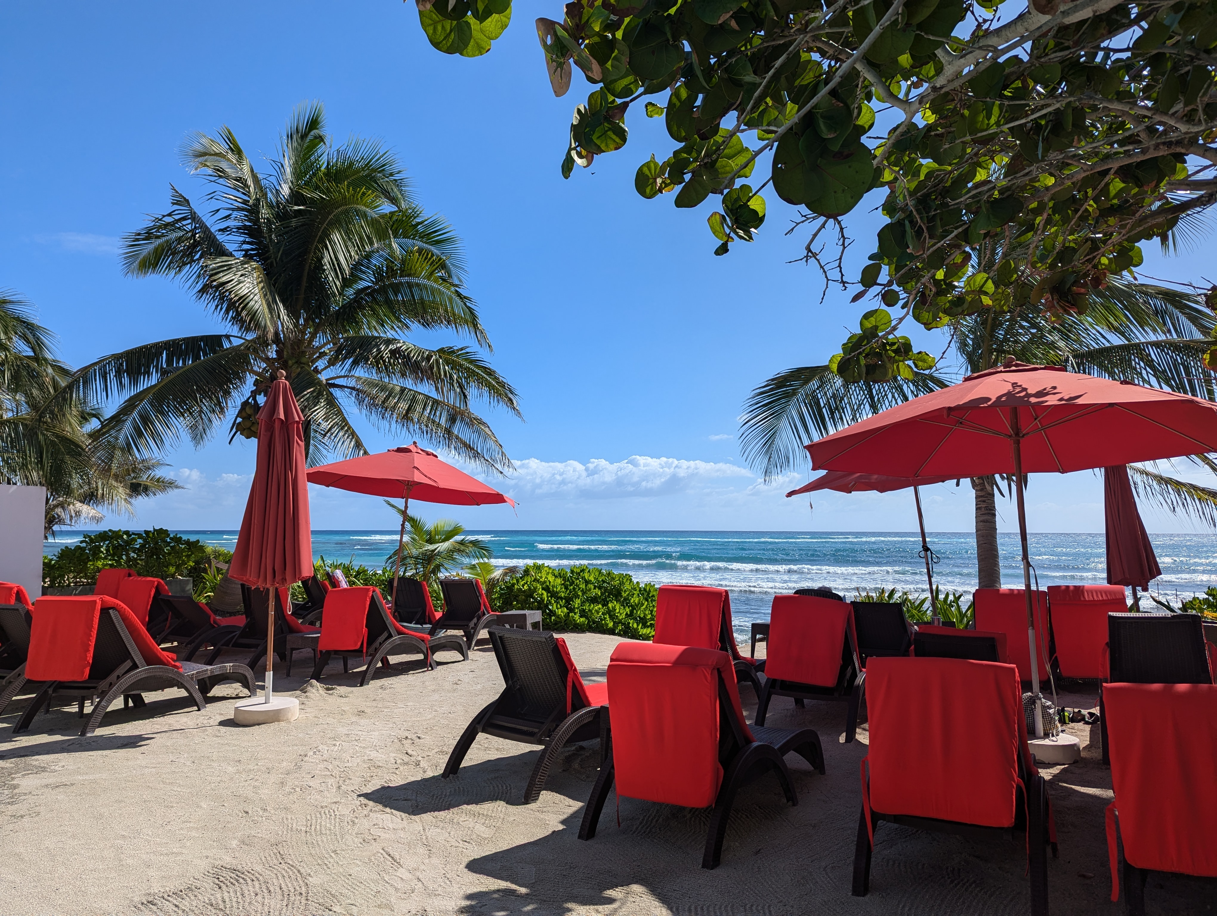 Jungle Fish Beach Club image 1